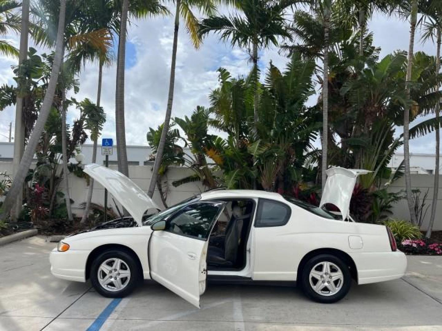 2005 White /Medium Gray Chevrolet Monte Carlo LS LOW MILES 96,037 (2G1WW12E759) with an 3.4L 3400 V6 SFI Engine engine, Automatic transmission, located at 4701 North Dixie Hwy, Pompano Beach, FL, 33064, (954) 422-2889, 26.240938, -80.123474 - 2005 CHEVROLET MONTE CARLO LS ROAD READY 3,4L V6 VIN: 2G1WW12E759204646 NO ACCIDENTS 32 MPG COUPE NO RECALLS DUAL ZONE AC 3.4L V6 F FLORIDA OWNER GASOLINE POWER MIRRORS LOW MILES 90,037 FRONT WHEEL DRIVE POWER SEATS 15 SERVICE RECORDS Alloy Wheels Automatic Climate Control Cruise Control Dual-Zone C - Photo#8