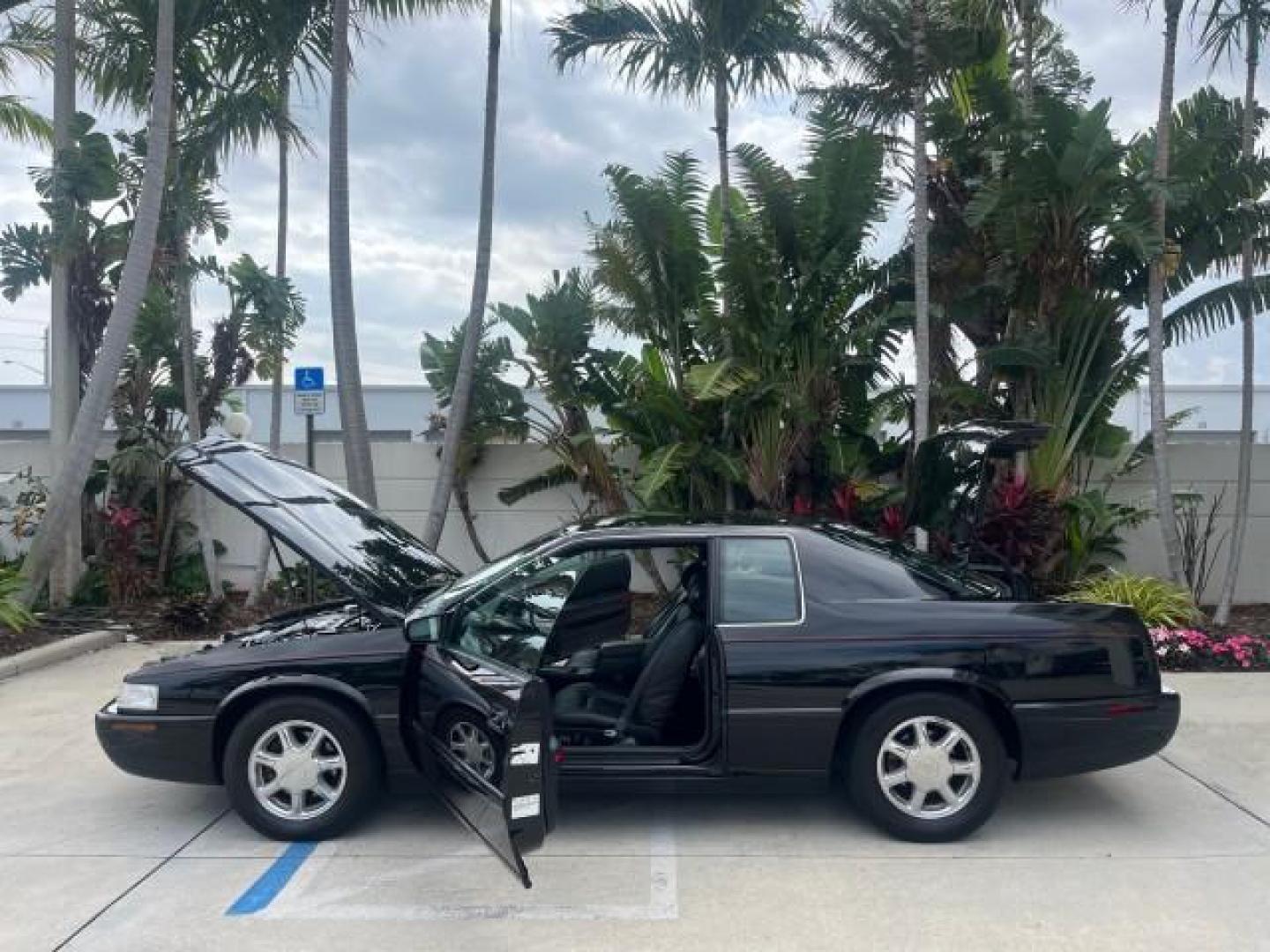 2000 Sable Black /Black Cadillac Eldorado Touring ETC LOW MILES 31,868 (1G6ET1291YU) with an 4.6L SFI DOHC V8 300hp Northstar Engine engine, Automatic transmission, located at 4701 North Dixie Hwy, Pompano Beach, FL, 33064, (954) 422-2889, 26.240938, -80.123474 - 2000 CADILLAC ELDORADO ETC NEW $43,347 ROAD READY VIN: 1G6ET1291YU131721 NO ACCIDENTS NO RECALLS COUPE 1 OWNER 4.6L V8 28 MPG 4.6L V8 F DOHC 32V POWER HEATED LEATHER SEATS GASOLINE POWER HEATED MIRRORS FRONT WHEEL DRIVE DUAL ZONE AC LOW MILES 31,868 Air Suspension Alloy Wheels Anti-Theft System Appr - Photo#8