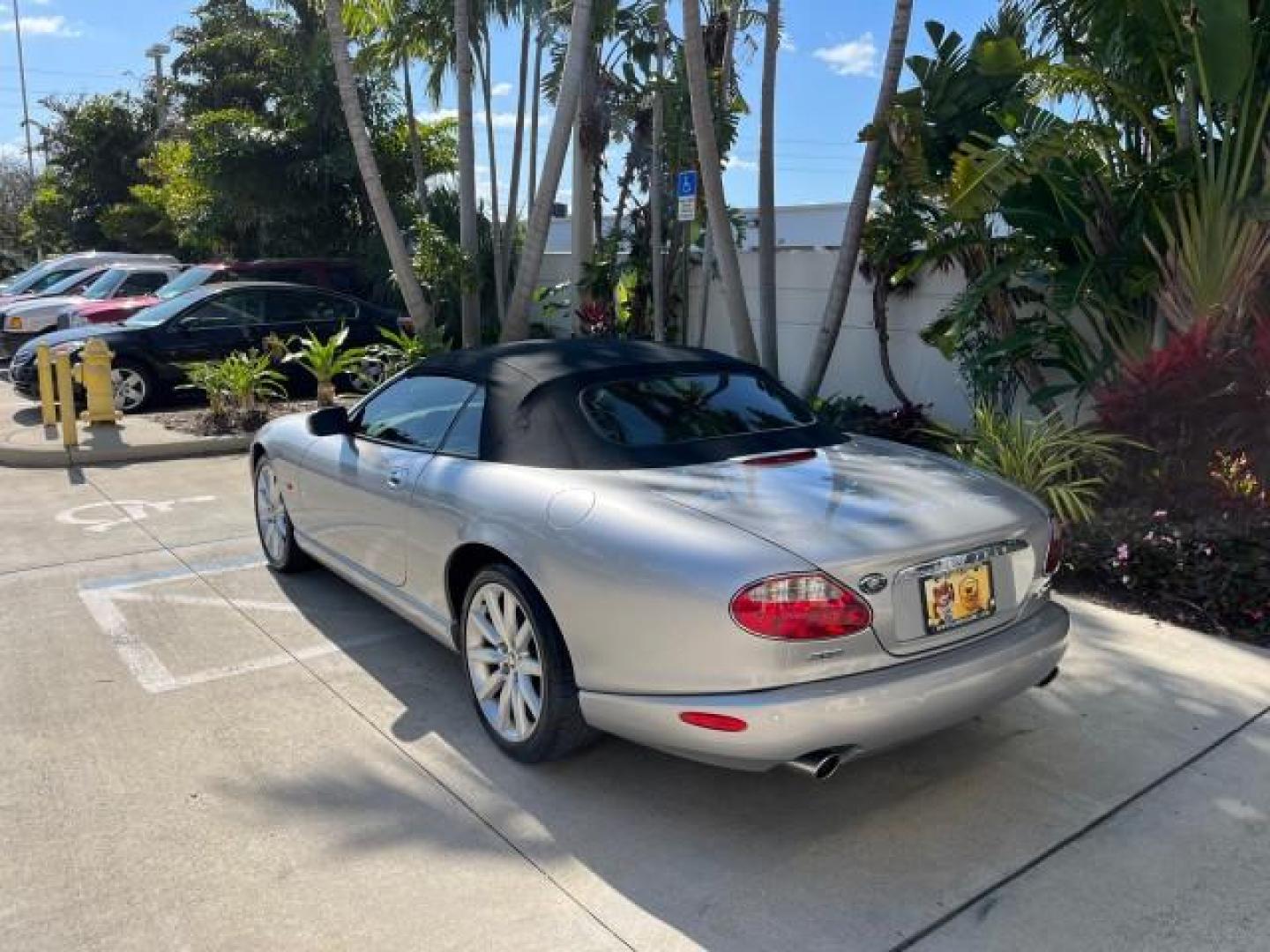 2005 Platinum /Charcoal Jaguar XK8 CONV LOW MILES 22,262 (SAJDA42C852) with an 4.2L DOHC EFI 32-Valve Aluminum Alloy V8 Engine engine, Automatic transmission, located at 4701 North Dixie Hwy, Pompano Beach, FL, 33064, (954) 422-2889, 26.240938, -80.123474 - 2005 JAGUAR XK-SERIES XK8 NEW $76,030 ROAD READY VIN: SAJDA42C852A44308 NO RECALLS 4.2L V8 CONVERTIBLE FLORIDA OWNER 4.2L V8 F DOHC POWER CONVERTIBLE TOP GASOLINE 9 SERVICE RECORDS POWER LEATHER SEATS REAR WHEEL DRIVE SUPER LOW MILES 22,262 PARKING SENSORS Alloy Wheels Anti-Theft System Auto-dimming - Photo#5