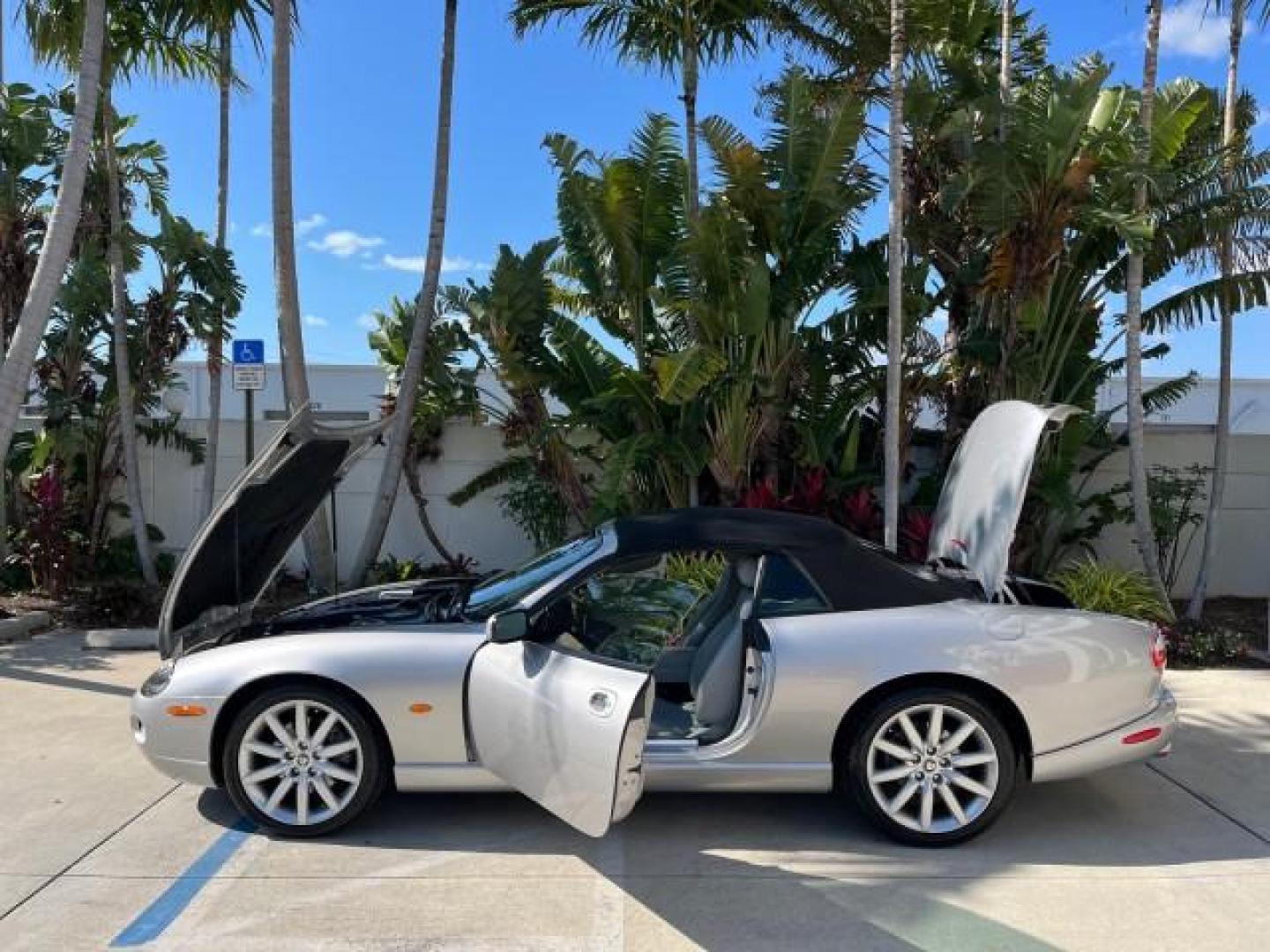 2005 Platinum /Charcoal Jaguar XK8 CONV LOW MILES 22,262 (SAJDA42C852) with an 4.2L DOHC EFI 32-Valve Aluminum Alloy V8 Engine engine, Automatic transmission, located at 4701 North Dixie Hwy, Pompano Beach, FL, 33064, (954) 422-2889, 26.240938, -80.123474 - 2005 JAGUAR XK-SERIES XK8 NEW $76,030 ROAD READY VIN: SAJDA42C852A44308 NO RECALLS 4.2L V8 CONVERTIBLE FLORIDA OWNER 4.2L V8 F DOHC POWER CONVERTIBLE TOP GASOLINE 9 SERVICE RECORDS POWER LEATHER SEATS REAR WHEEL DRIVE SUPER LOW MILES 22,262 PARKING SENSORS Alloy Wheels Anti-Theft System Auto-dimming - Photo#8