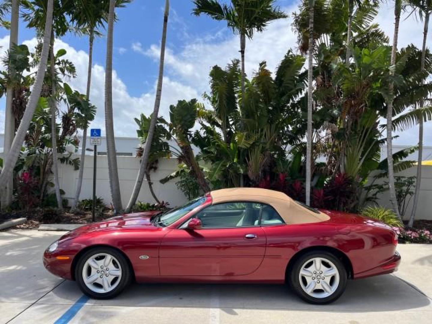 1999 Carnival Red /Oatmeal Jaguar XK8 LOW MILES 25,299 (SAJGX204XXC) with an 4.0L DOHC SPFI 32-Valve V8 Aluminum Alloy Engine engine, Automatic transmission, located at 4701 North Dixie Hwy, Pompano Beach, FL, 33064, (954) 422-2889, 26.240938, -80.123474 - 1999 JAGUAR XK-SERIES XK8 NEW $73,550 ROAD READY VIN: SAJGX204XXC033817 NO ACCIDENTS NO RECALLS CONVERTIBLE FLORIDA OWNER 4.OL V8 4.0L V8 F DOHC 24V LOW MILES 25,299 GASOLINE POWER CONVERTIBLE TOP REAR WHEEL DRIVE 14 SERVICE RECORDS POWER LEATHER SEATS Alloy Wheels Memory Seat(s) Leather Seats Soft - Photo#4