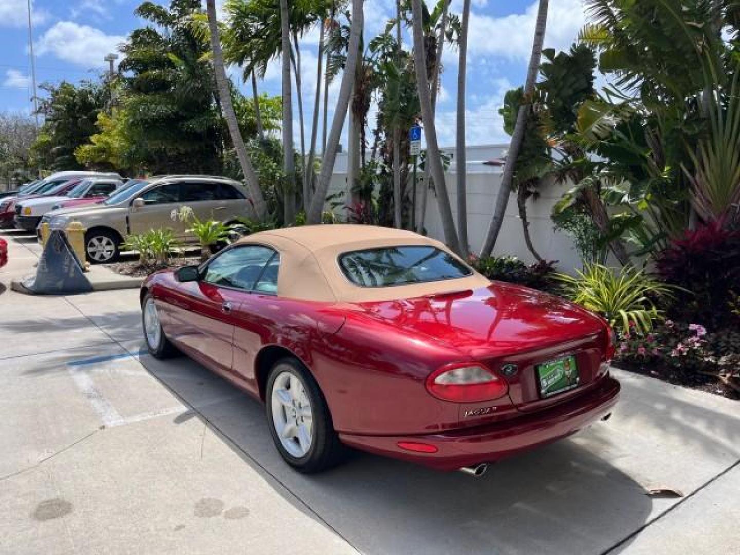 1999 Carnival Red /Oatmeal Jaguar XK8 LOW MILES 25,299 (SAJGX204XXC) with an 4.0L DOHC SPFI 32-Valve V8 Aluminum Alloy Engine engine, Automatic transmission, located at 4701 North Dixie Hwy, Pompano Beach, FL, 33064, (954) 422-2889, 26.240938, -80.123474 - 1999 JAGUAR XK-SERIES XK8 NEW $73,550 ROAD READY VIN: SAJGX204XXC033817 NO ACCIDENTS NO RECALLS CONVERTIBLE FLORIDA OWNER 4.OL V8 4.0L V8 F DOHC 24V LOW MILES 25,299 GASOLINE POWER CONVERTIBLE TOP REAR WHEEL DRIVE 14 SERVICE RECORDS POWER LEATHER SEATS Alloy Wheels Memory Seat(s) Leather Seats Soft - Photo#5