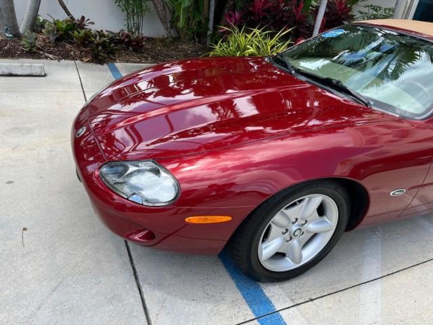 1999 Carnival Red /Oatmeal Jaguar XK8 LOW MILES 25,299 (SAJGX204XXC) with an 4.0L DOHC SPFI 32-Valve V8 Aluminum Alloy Engine engine, Automatic transmission, located at 4701 North Dixie Hwy, Pompano Beach, FL, 33064, (954) 422-2889, 26.240938, -80.123474 - 1999 JAGUAR XK-SERIES XK8 NEW $73,550 ROAD READY VIN: SAJGX204XXC033817 NO ACCIDENTS NO RECALLS CONVERTIBLE FLORIDA OWNER 4.OL V8 4.0L V8 F DOHC 24V LOW MILES 25,299 GASOLINE POWER CONVERTIBLE TOP REAR WHEEL DRIVE 14 SERVICE RECORDS POWER LEATHER SEATS Alloy Wheels Memory Seat(s) Leather Seats Soft - Photo#69