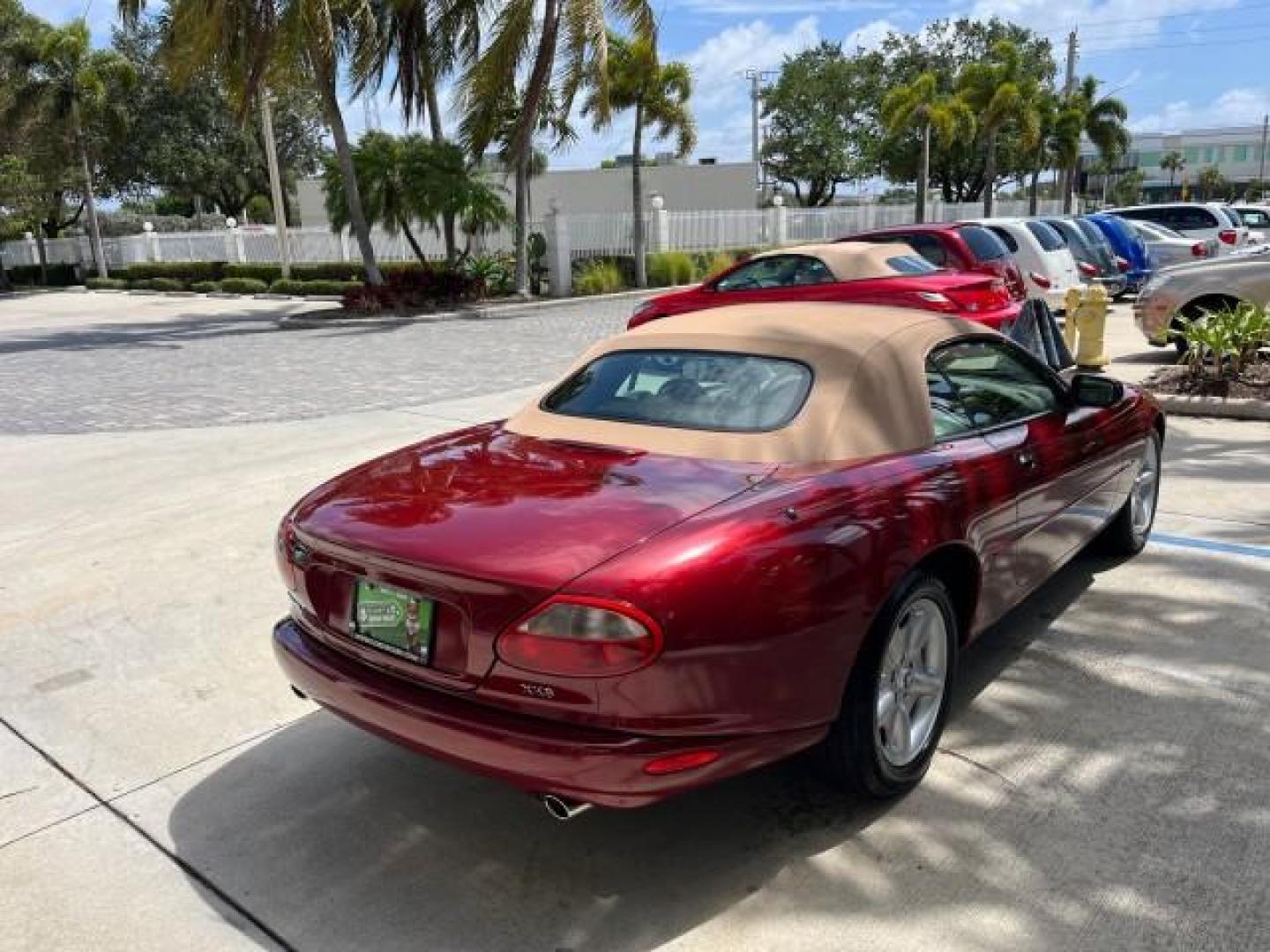 1999 Carnival Red /Oatmeal Jaguar XK8 LOW MILES 25,299 (SAJGX204XXC) with an 4.0L DOHC SPFI 32-Valve V8 Aluminum Alloy Engine engine, Automatic transmission, located at 4701 North Dixie Hwy, Pompano Beach, FL, 33064, (954) 422-2889, 26.240938, -80.123474 - 1999 JAGUAR XK-SERIES XK8 NEW $73,550 ROAD READY VIN: SAJGX204XXC033817 NO ACCIDENTS NO RECALLS CONVERTIBLE FLORIDA OWNER 4.OL V8 4.0L V8 F DOHC 24V LOW MILES 25,299 GASOLINE POWER CONVERTIBLE TOP REAR WHEEL DRIVE 14 SERVICE RECORDS POWER LEATHER SEATS Alloy Wheels Memory Seat(s) Leather Seats Soft - Photo#7