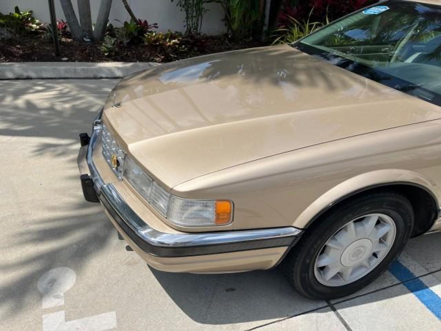 1997 Gold /Beechwood Cadillac Seville SLS LOW MILES 53,007 (1G6KS52Y5VU) with an 4.6L SPFI DOHC V8 Northstar Engine engine, Automatic transmission, located at 4701 North Dixie Hwy, Pompano Beach, FL, 33064, (954) 422-2889, 26.240938, -80.123474 - OUR WEBPAGE FLORIDACARS1.COM HAS OVER 100 PHOTOS AND FREE CARFAX LINK 1997 CADILLAC SEVILLE SLS NEW $42,105 ROAD READY VIN: 1G6KS52Y5VU802789 FLORIDA OWNER 4.6L V8 SEDAN 4 DR NO RECALLS 28 MPG 4.6L V8 F DOHC 32V POWER HEATED LEATHER SEATS GASOLINE LOW MILES 53,007 FRONT WHEEL DRIVE 14 SERVICE RECORD - Photo#77