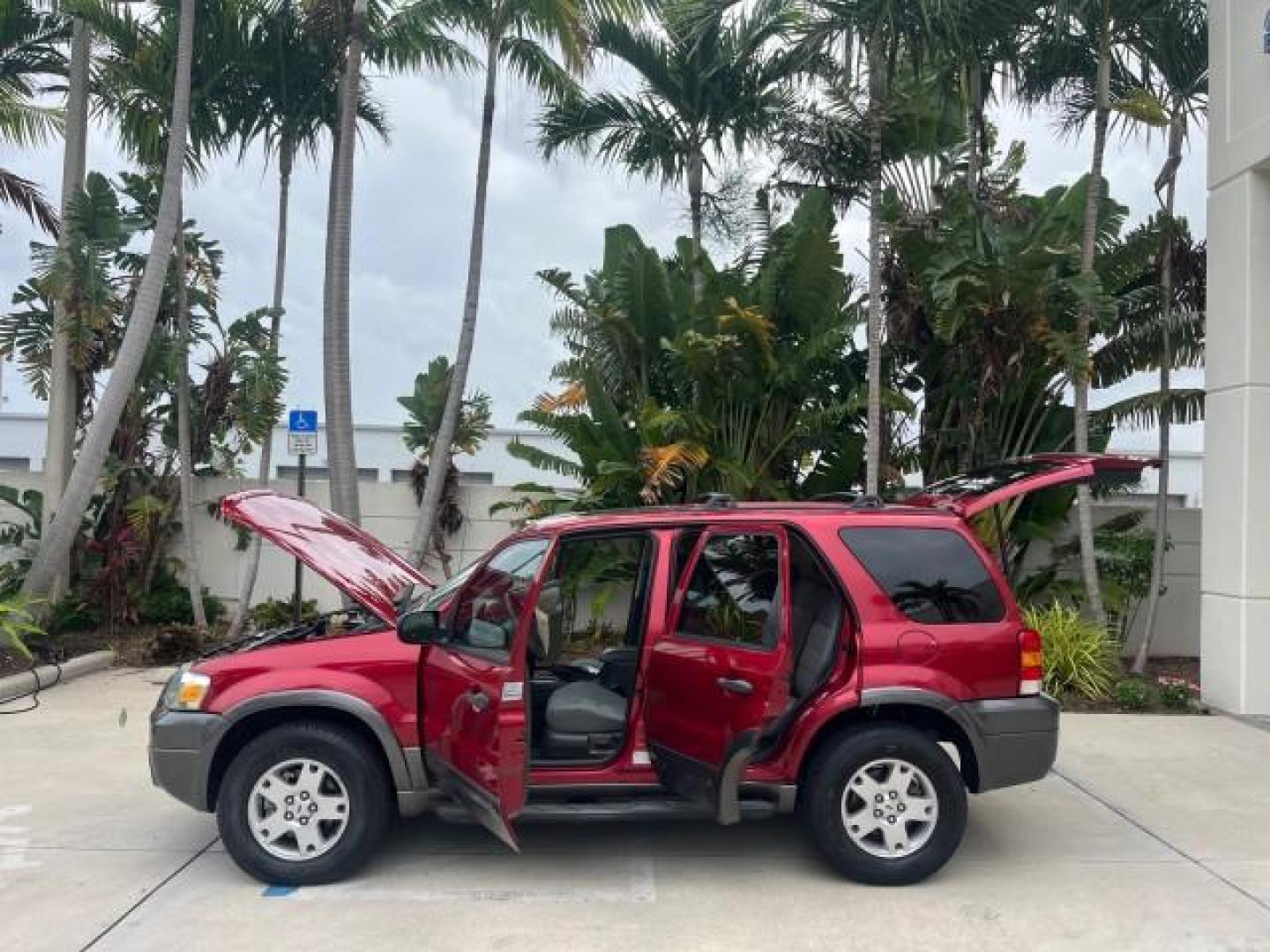 2006 Redfire Metallic /Medium/Dk Flint Ford Escape 1 FL 4wd XLT LOW MILES 35,769 (1FMYU93106K) with an 3.0L DOHC SEFI 24-Valve V6 Duratec Engine engine, Automatic transmission, located at 4701 North Dixie Hwy, Pompano Beach, FL, 33064, (954) 422-2889, 26.240938, -80.123474 - OUR WEBPAGE FLORIDACARS1.COM HAS OVER 100 PHOTOS AND FREE CARFAX LINK 2006 FORD ESCAPE XLT ROAD READY 3.0L V6 VIN: 1FMYU93106KC44045 NO RECALLS 4X4 4 DOOR WAGON/SPORT UTILITY 1 OWNER FLORIDA 3.0L V6 F DOHC ON DEMAND 4WD GASOLINE LOW MILES 35,769 FRONT WHEEL DRIVE W/ 4X4 POWER SEATS/SUNROOF AWD Anti- - Photo#8