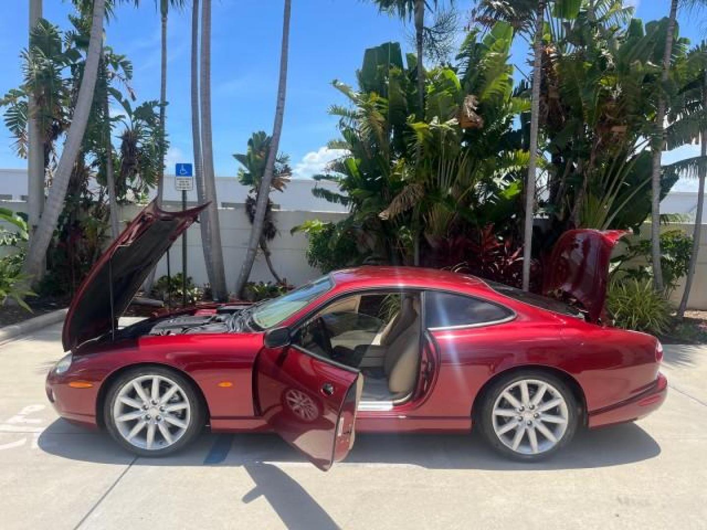 2005 Radiance /Ivory Jaguar XK8 XK8 COUPE LOW MILES 67,921 (SAJDA41C652) with an 4.2L DOHC EFI 32-Valve Aluminum Alloy V8 Engine engine, Automatic transmission, located at 4701 North Dixie Hwy, Pompano Beach, FL, 33064, (954) 422-2889, 26.240938, -80.123474 - OUR WEBPAGE FLORIDACARS1.COM HAS OVER 100 PHOTOS AND FREE CARFAX LINK 2005 JAGUAR XK-SERIES XK8 NEW $73,230 ROAD READY VIN: SAJDA41C652A41179 NO ACCIDENTS NO RECALLS COUPE FLORIDA OWNER 4.2L V8 4.2L V8 F DOHC LOW MILES 67,921 GASOLINE HEATED MIRRORS POWER HEATED LEATHER SEATS REAR WHEEL DRIVE PARKIN - Photo#8