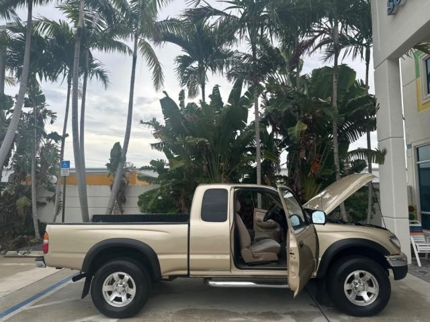 2003 Mystic Gold Metallic /Oak Toyota Tacoma PreRunner FL LOW MILES 46.375 (5TESN92NX3Z) with an 3.4L DOHC EFI 24-Valve V6 Engine engine, Automatic transmission, located at 4701 North Dixie Hwy, Pompano Beach, FL, 33064, (954) 422-2889, 26.240938, -80.123474 - OUR WEBPAGE FLORIDACARS1.COM HAS OVER 100 PHOTOS AND FREE CARFAX LINK 2003 TOYOTA TACOMA PRERUNNER V6 HARD TO FIND THIS ONE IS THE ONE VIN: 5TESN92NX3Z184813 5 T E S N 9 2 N X 3 Z 1 8 4 8 1 3 CLUB CAB PICKUP 3.4L V6 F DOHC 24V GASOLINE REAR WHEEL DRIVE NO RECALLS CARFAX 19 SERVICE RECORDS NO ACCIDEN - Photo#51