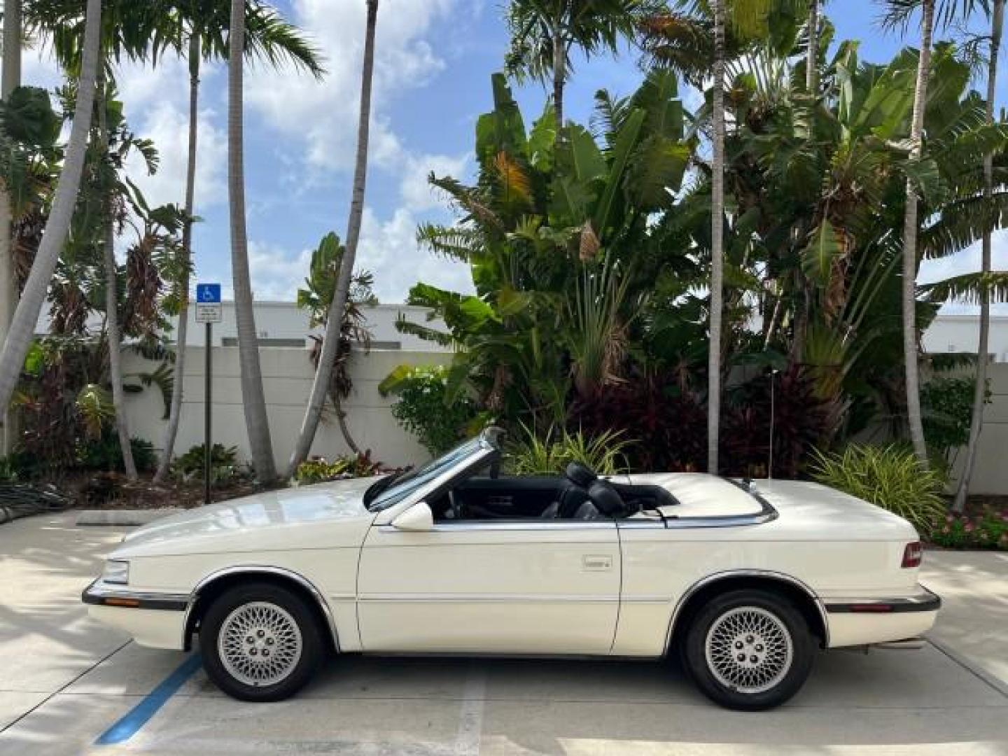 1991 WHITE /BLACK Chrysler TC HARD TOP LOW MILES 34,790 (ZC2FS1203MB) with an 3.0L V6 Cylinder Engine engine, Automatic transmission, located at 4701 North Dixie Hwy, Pompano Beach, FL, 33064, (954) 422-2889, 26.240938, -80.123474 - OUR WEBPAGE FLORIDACARS1.COM HAS OVER 100 PHOTOS AND FREE CARFAX LINK 1991 CHRYSLER TC ROAD READY 3.0L V6 VIN: ZC2FS1203MB207381 NO ACCIDENTS CONVERTIBLE NO RECALLS 3.0L V6 F FLORIDA OWNER GASOLINE POWER MIRRORS LOW MILES 34,790 FRONT WHEEL DRIVE CONVERTIBLE SOFT TOP / HARD TOP POWER LEATHER SEATS A - Photo#10