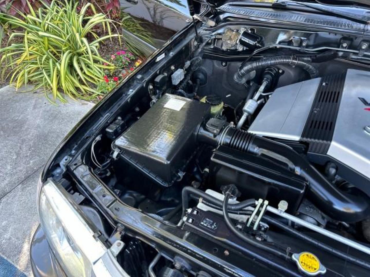 2003 Black Garnet Pearl /Stone Toyota Land Cruiser 4X4 18 SERVICE RECORDS NEW TIMING (JTEHT05JX32) with an 4.7L DOHC EFI 32-Valve V8 Engine engine, Automatic transmission, located at 4701 North Dixie Hwy, Pompano Beach, FL, 33064, (954) 422-2889, 26.240938, -80.123474 - OUR WEBPAGE FLORIDACARS1.COM HAS OVER 100 PHOTOS AND FREE CARFAX LINK 2003 TOYOTA LAND CRUISER VIN: JTEHT05JX32048900 J T E H T 0 5 J X 3 2 0 4 8 9 0 0 4 DOOR WAGON/SPORT UTILITY 4.7L V8 F DOHC 32V GASOLINE ALL WHEEL DRIVE NEW TIMING 10/17/2019 124,356 Toyota of Deerfield Beach Deerfield Beach, Flor - Photo#42