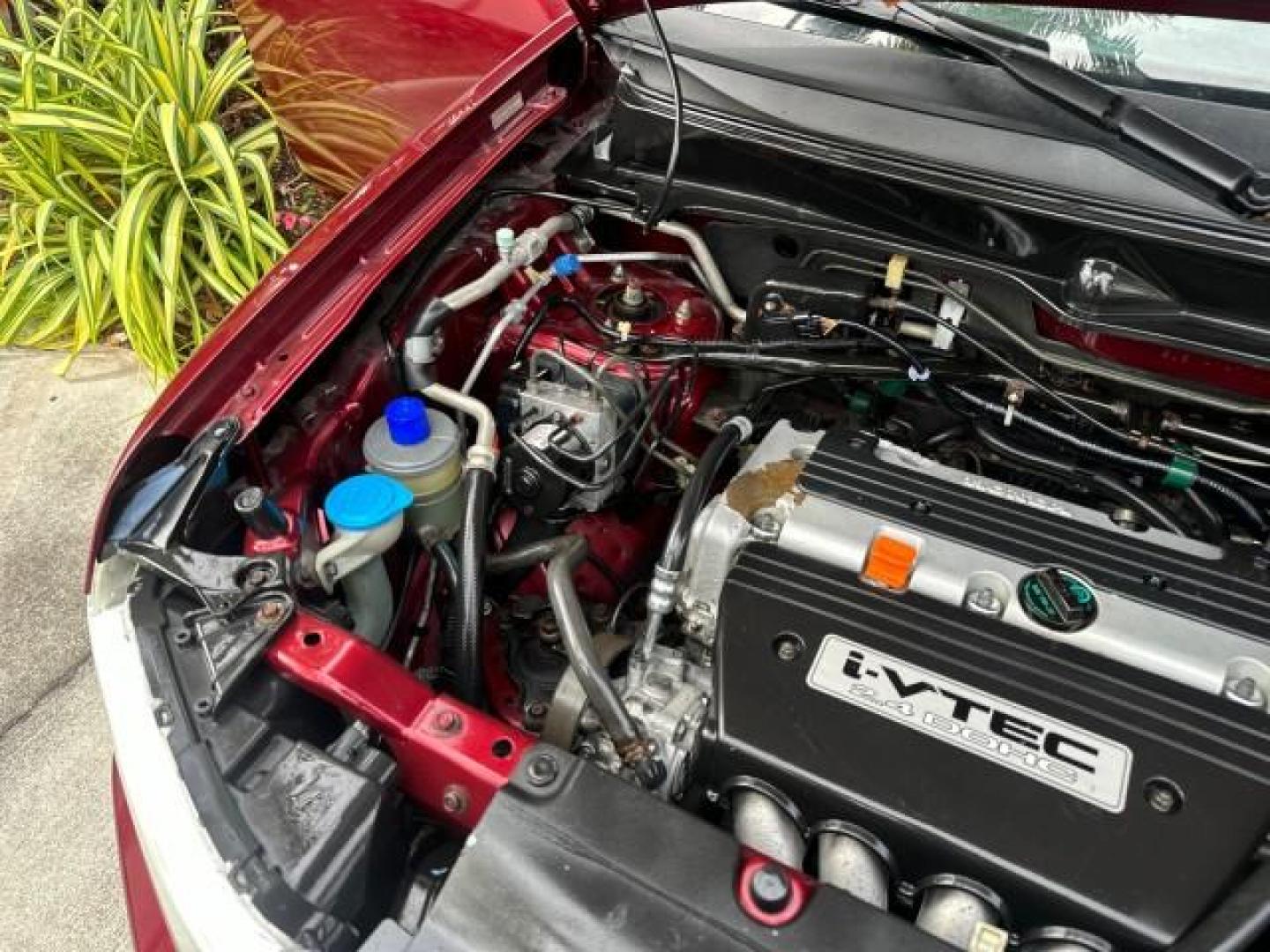 2010 Tango Red Pearl /Gray Honda Element EX LOW MILES FL TITLE (5J6YH1H71AL) with an 2.4L DOHC MPFI 16-Valve i-VTEC I4 Engine engine, Automatic transmission, located at 4701 North Dixie Hwy, Pompano Beach, FL, 33064, (954) 422-2889, 26.240938, -80.123474 - OUR WEBPAGE FLORIDACARS1.COM HAS OVER 100 PHOTOS AND FREE CARFAX LINK 2010 HONDA ELEMENT EX VIN: 5J6YH1H71AL003602 4 DOOR WAGON/SPORT UTILITY 2.4L I4 F DOHC 16V GASOLINE FRONT WHEEL DRIVE Basic Features ABS Brakes Auxiliary Audio Input Power Locks Side Airbags AM/FM Stereo CD Audio Power Mirrors Tra - Photo#38