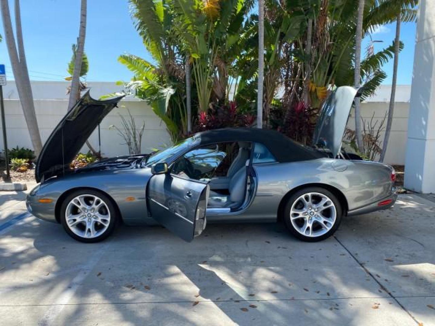 2003 Quartz /Dove Jaguar XK8 1 OWNER LOW MILES 37,004 (SAJDA42C132) with an 4.2L DOHC EFI 32-Valve Aluminum Alloy V8 Engine engine, Automatic transmission, located at 4701 North Dixie Hwy, Pompano Beach, FL, 33064, (954) 422-2889, 26.240938, -80.123474 - OUR WEBPAGE FLORIDACARS1.COM HAS OVER 100 PHOTOS AND FREE CARFAX LINK 2003 JAGUAR XK-SERIES XK8 $ 79,405 NEW ! VIN: SAJDA42C132A31624 S A J D A 4 2 C 1 3 2 A 3 1 6 2 4 CONVERTIBLE BOOT INCLUDED 4.2L V8 F DOHC GASOLINE REAR WHEEL DRIVE Top Features Alloy Wheels Leather Seats Alpine Sound System Navig - Photo#8