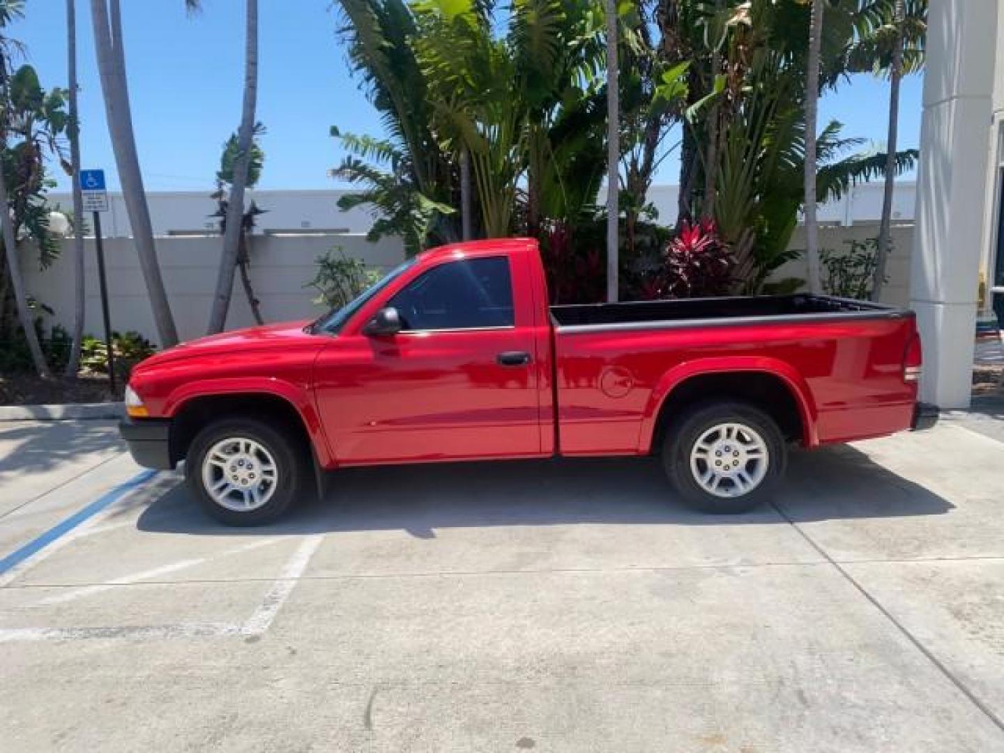 2003 Flame Red /Dark Slate Gray Dodge Dakota SXT FL OWNER LOW MILES 43,924 5 SPD (1D7FL16X43S) with an 3.9L V6 Cylinder Engine engine, Manual transmission, located at 4701 North Dixie Hwy, Pompano Beach, FL, 33064, (954) 422-2889, 26.240938, -80.123474 - OUR WEBPAGE FLORIDACARS1.COM HAS OVER 100 PHOTOS AND FREE CARFAX LINK 2003 DODGE DAKOTA VIN: 1D7FL16X43S306371 1 D 7 F L 1 6 X 4 3 S 3 0 6 3 7 1 PICKUP 75 INCH BED 3.9L V6 F OHV GASOLINE REAR WHEEL DRIVE Top Features Alloy Wheels Cloth Seats [-RETX] SXT QUICK-ORDER PKG SAVINGS *DISCOUNT* ($-1420.00) - Photo#4