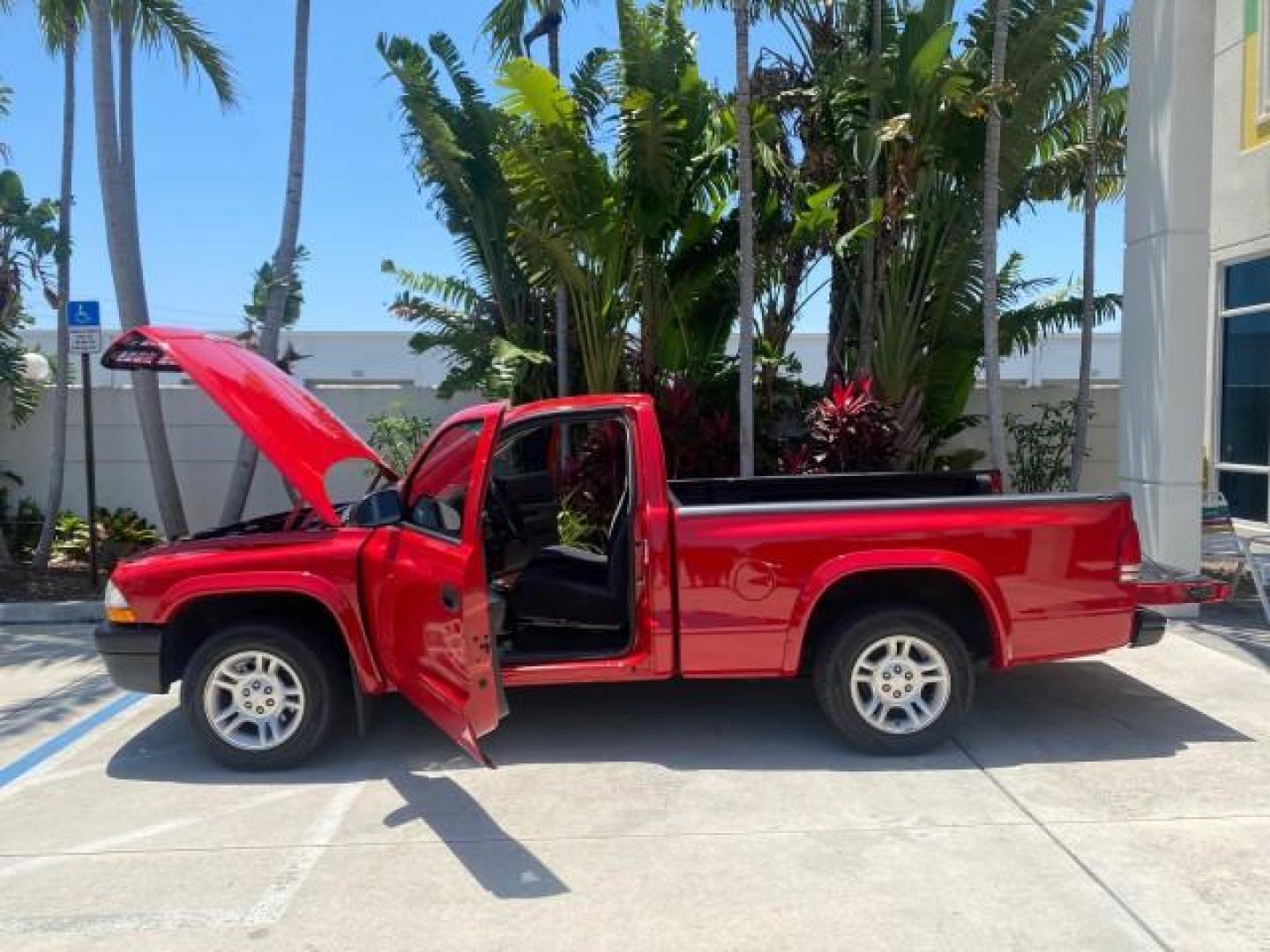2003 Flame Red /Dark Slate Gray Dodge Dakota SXT FL OWNER LOW MILES 43,924 5 SPD (1D7FL16X43S) with an 3.9L V6 Cylinder Engine engine, Manual transmission, located at 4701 North Dixie Hwy, Pompano Beach, FL, 33064, (954) 422-2889, 26.240938, -80.123474 - OUR WEBPAGE FLORIDACARS1.COM HAS OVER 100 PHOTOS AND FREE CARFAX LINK 2003 DODGE DAKOTA VIN: 1D7FL16X43S306371 1 D 7 F L 1 6 X 4 3 S 3 0 6 3 7 1 PICKUP 75 INCH BED 3.9L V6 F OHV GASOLINE REAR WHEEL DRIVE Top Features Alloy Wheels Cloth Seats [-RETX] SXT QUICK-ORDER PKG SAVINGS *DISCOUNT* ($-1420.00) - Photo#8