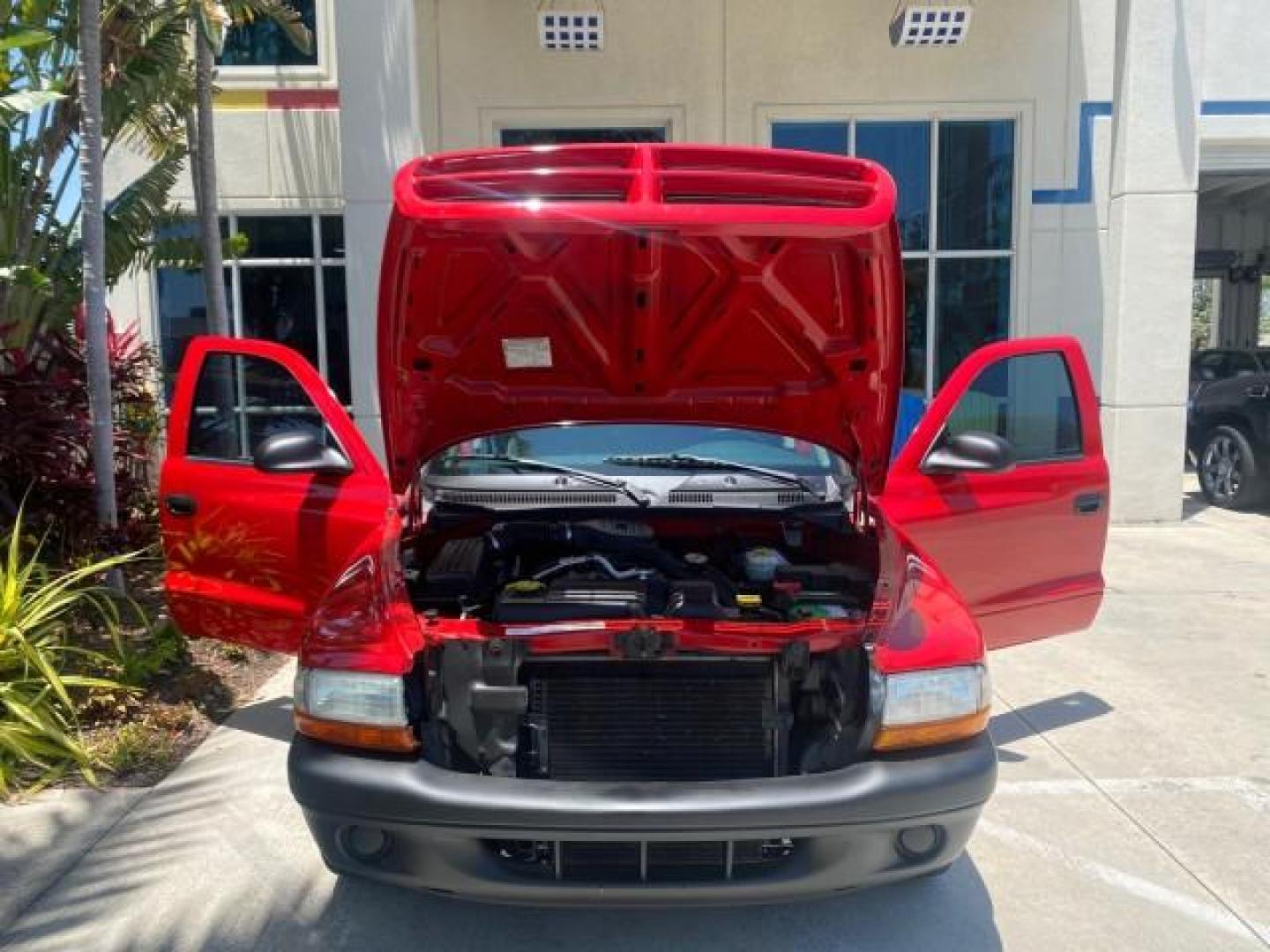 2003 Flame Red /Dark Slate Gray Dodge Dakota SXT FL OWNER LOW MILES 43,924 5 SPD (1D7FL16X43S) with an 3.9L V6 Cylinder Engine engine, Manual transmission, located at 4701 North Dixie Hwy, Pompano Beach, FL, 33064, (954) 422-2889, 26.240938, -80.123474 - OUR WEBPAGE FLORIDACARS1.COM HAS OVER 100 PHOTOS AND FREE CARFAX LINK 2003 DODGE DAKOTA VIN: 1D7FL16X43S306371 1 D 7 F L 1 6 X 4 3 S 3 0 6 3 7 1 PICKUP 75 INCH BED 3.9L V6 F OHV GASOLINE REAR WHEEL DRIVE Top Features Alloy Wheels Cloth Seats [-RETX] SXT QUICK-ORDER PKG SAVINGS *DISCOUNT* ($-1420.00) - Photo#16