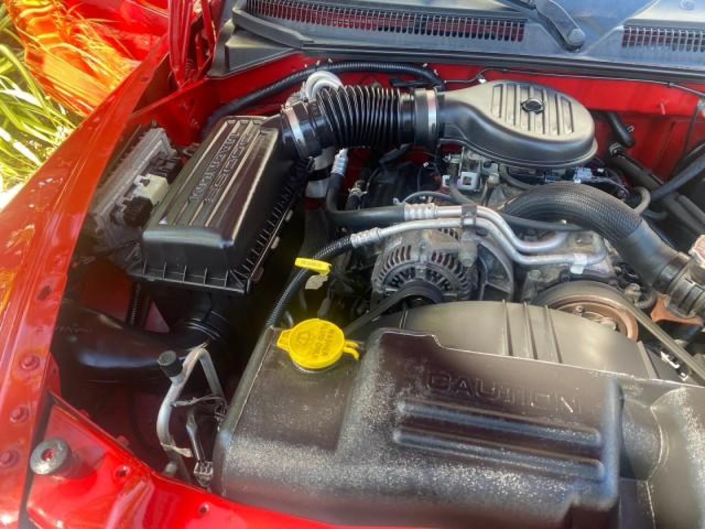 2003 Flame Red /Dark Slate Gray Dodge Dakota SXT FL OWNER LOW MILES 43,924 5 SPD (1D7FL16X43S) with an 3.9L V6 Cylinder Engine engine, Manual transmission, located at 4701 North Dixie Hwy, Pompano Beach, FL, 33064, (954) 422-2889, 26.240938, -80.123474 - OUR WEBPAGE FLORIDACARS1.COM HAS OVER 100 PHOTOS AND FREE CARFAX LINK 2003 DODGE DAKOTA VIN: 1D7FL16X43S306371 1 D 7 F L 1 6 X 4 3 S 3 0 6 3 7 1 PICKUP 75 INCH BED 3.9L V6 F OHV GASOLINE REAR WHEEL DRIVE Top Features Alloy Wheels Cloth Seats [-RETX] SXT QUICK-ORDER PKG SAVINGS *DISCOUNT* ($-1420.00) - Photo#24