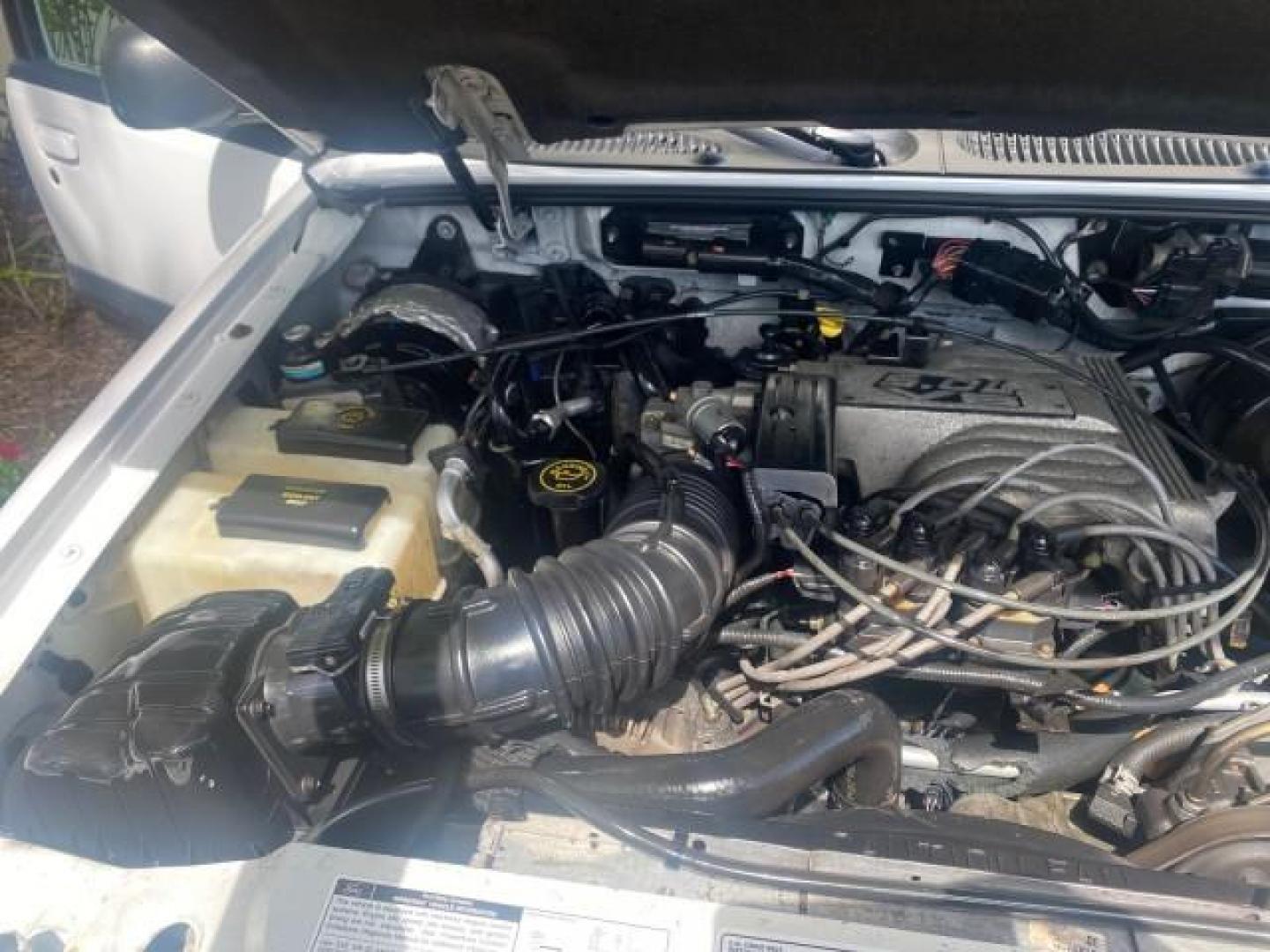 1999 Oxford White /Prairie Tan Mercury Mountaineer 1 OWNER FL LOW MILES (4M2DU52P6XU) with an 5.0L SEFI V8 Engine engine, Automatic transmission, located at 4701 North Dixie Hwy, Pompano Beach, FL, 33064, (954) 422-2889, 26.240938, -80.123474 - OUR WEBPAGE FLORIDACARS1.COM HAS OVER 100 PHOTOS AND FREE CARFAX LINK 1999 MERCURY MOUNTAINEER VIN: 4M2DU52P6XUJ01084 4 M 2 D U 5 2 P 6 X U J 0 1 0 8 4 4 DOOR WAGON/SPORT UTILITY WE ORDERED A NEW GLOVE BOX COVER 5.0L V8 F GASOLINE REAR WHEEL DRIVE Top Features Alloy Wheels Leather Seats Running Boar - Photo#25
