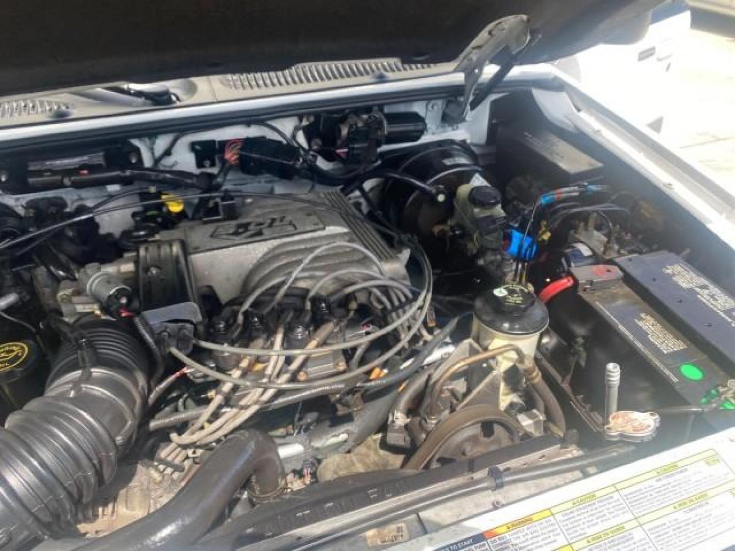 1999 Oxford White /Prairie Tan Mercury Mountaineer 1 OWNER FL LOW MILES (4M2DU52P6XU) with an 5.0L SEFI V8 Engine engine, Automatic transmission, located at 4701 North Dixie Hwy, Pompano Beach, FL, 33064, (954) 422-2889, 26.240938, -80.123474 - OUR WEBPAGE FLORIDACARS1.COM HAS OVER 100 PHOTOS AND FREE CARFAX LINK 1999 MERCURY MOUNTAINEER VIN: 4M2DU52P6XUJ01084 4 M 2 D U 5 2 P 6 X U J 0 1 0 8 4 4 DOOR WAGON/SPORT UTILITY WE ORDERED A NEW GLOVE BOX COVER 5.0L V8 F GASOLINE REAR WHEEL DRIVE Top Features Alloy Wheels Leather Seats Running Boar - Photo#26