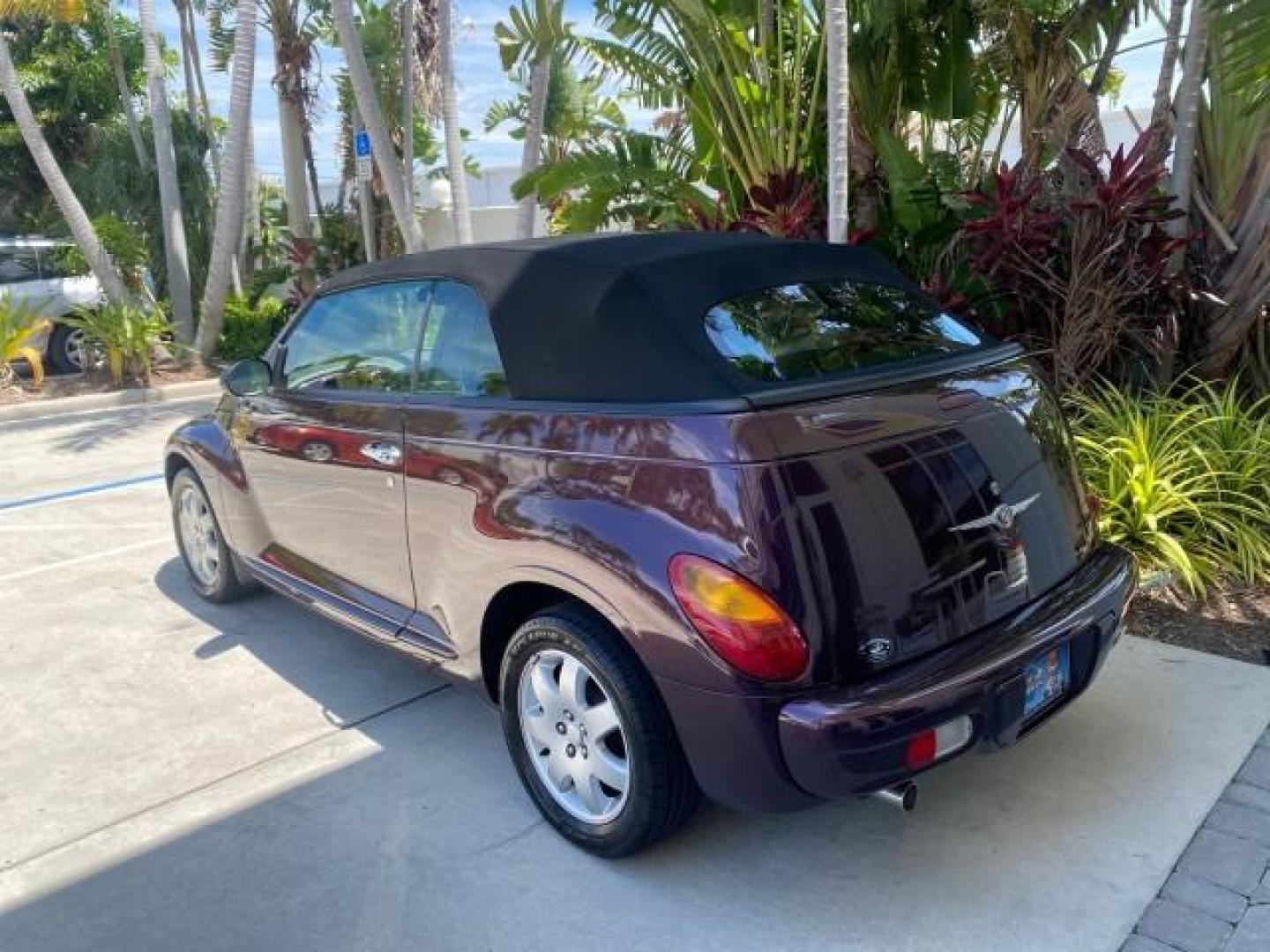 2005 Dark Plum Pearl /Taupe/Pearl Beige Chrysler PT Cruiser TURBO CONV LOW MILES 28,028 (3C3AY55E65T) with an 2.4L DOHC 16-Valve Turbo I4 Engine engine, Automatic transmission, located at 4701 North Dixie Hwy, Pompano Beach, FL, 33064, (954) 422-2889, 26.240938, -80.123474 - OUR WEBPAGE FLORIDACARS1.COM HAS OVER 100 PHOTOS AND FREE CARFAX LINK 2005 CHRYSLER PT CRUISER TOURING LEATHER LOADED VERY NICE NONSMOKER VIN: 3C3AY55E65T518675 3 C 3 A Y 5 5 E 6 5 T 5 1 8 6 7 5 CONVERTIBLE 2.4L I4 F DOHC 16V GASOLINE FRONT WHEEL DRIVE Top Features Alloy Wheels Leather Seats Satelli - Photo#66