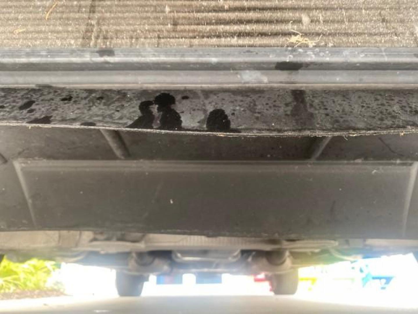 2005 Light French Silk Metallic /Med/Lt Parchment Lincoln Town Car Signature 1 OWNER FL LOW MILES 39,256 (1LNHM81W85Y) with an 4.6L SOHC SMPI V8 Engine engine, Automatic transmission, located at 4701 North Dixie Hwy, Pompano Beach, FL, 33064, (954) 422-2889, 26.240938, -80.123474 - OUR WEBPAGE FLORIDACARS1.COM HAS OVER 100 PHOTOS AND FREE CARFAX LINK 2005 LINCOLN TOWN CAR SIGNATURE VIN: 1LNHM81W85Y648232 1 L N H M 8 1 W 8 5 Y 6 4 8 2 3 2 SEDAN 4 DR 4.6L V8 F OHV 16V GASOLINE REAR WHEEL DRIVE Features ABS Brakes Air Conditioning Alloy Wheels AM/FM Stereo Automatic Transmission - Photo#21