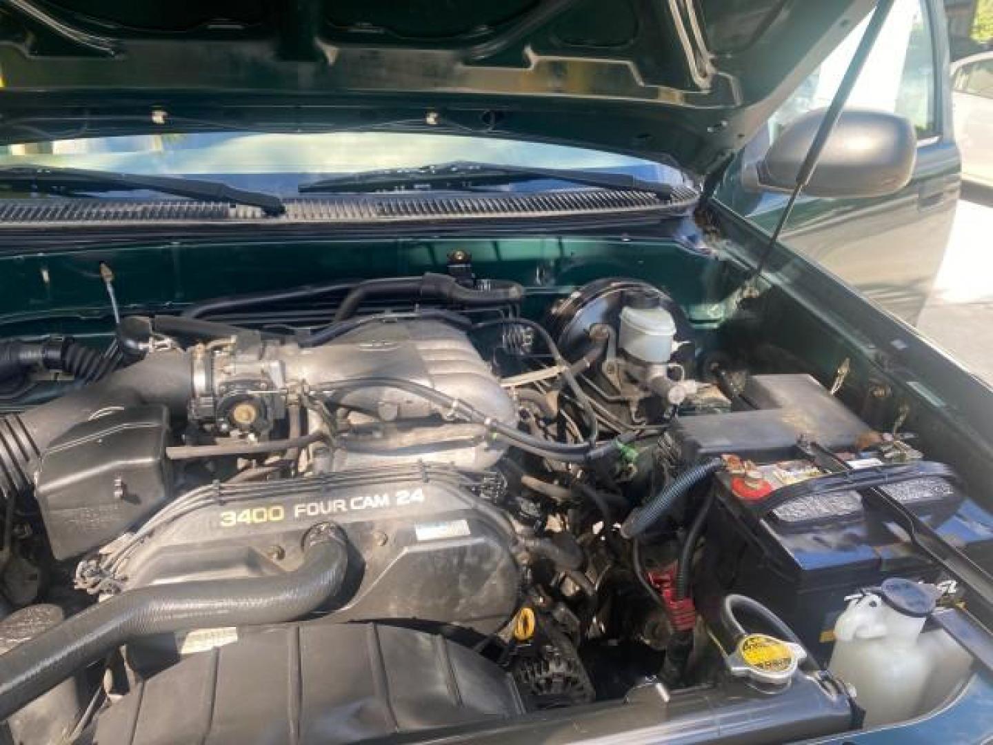 2003 Imperial Jade Mica /Oak Toyota Tundra LOW MILES 65,744 1 OWNER FL (5TBJN32173S) with an 3.4L DOHC EFI 24-Valve V6 Engine engine, Automatic transmission, located at 4701 North Dixie Hwy, Pompano Beach, FL, 33064, (954) 422-2889, 26.240938, -80.123474 - OUR WEBPAGE FLORIDACARS1.COM HAS OVER 100 PHOTOS AND FREE CARFAX LINK 2003 TOYOTA TUNDRA VIN: 5TBJN32173S387816 5 T B J N 3 2 1 7 3 S 3 8 7 8 1 6 PICKUP 3.4L V6 F DOHC 24V GASOLINE REAR WHEEL DRIVE Features ABS Brakes Air Conditioning AM/FM Stereo Automatic Transmission Bed Liner CD Audio Cloth Seat - Photo#25