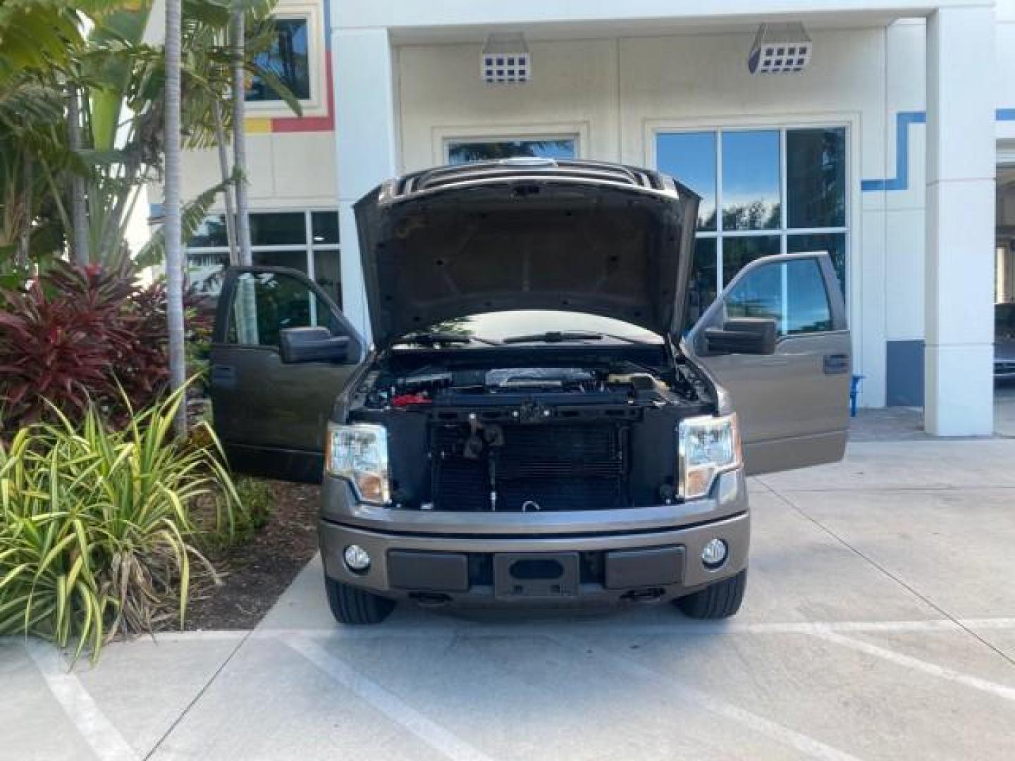 2013 Sterling Gray Metallic /Steel Gray Ford F-150 STX 4WD LOW MILES 27,133 1 OWNER (1FTMF1EF3DF) with an 5.0L V8 FFV Engine engine, Automatic transmission, located at 4701 North Dixie Hwy, Pompano Beach, FL, 33064, (954) 422-2889, 26.240938, -80.123474 - OUR WEBPAGE FLORIDACARS1.COM HAS OVER 100 PHOTOS AND FREE CARFAX LINK 2013 FORD F-150 STX VIN: 1FTMF1EF3DFC39967 1 F T M F 1 E F 3 D F C 3 9 9 6 7 PICKUP 5.0L V8 F DOHC 32V FLEX FUEL REAR WHEEL DRIVE W/ 4X4 Features 4WD/AWD ABS Brakes Air Conditioning Alloy Wheels AM/FM Stereo Automatic Transmission - Photo#16