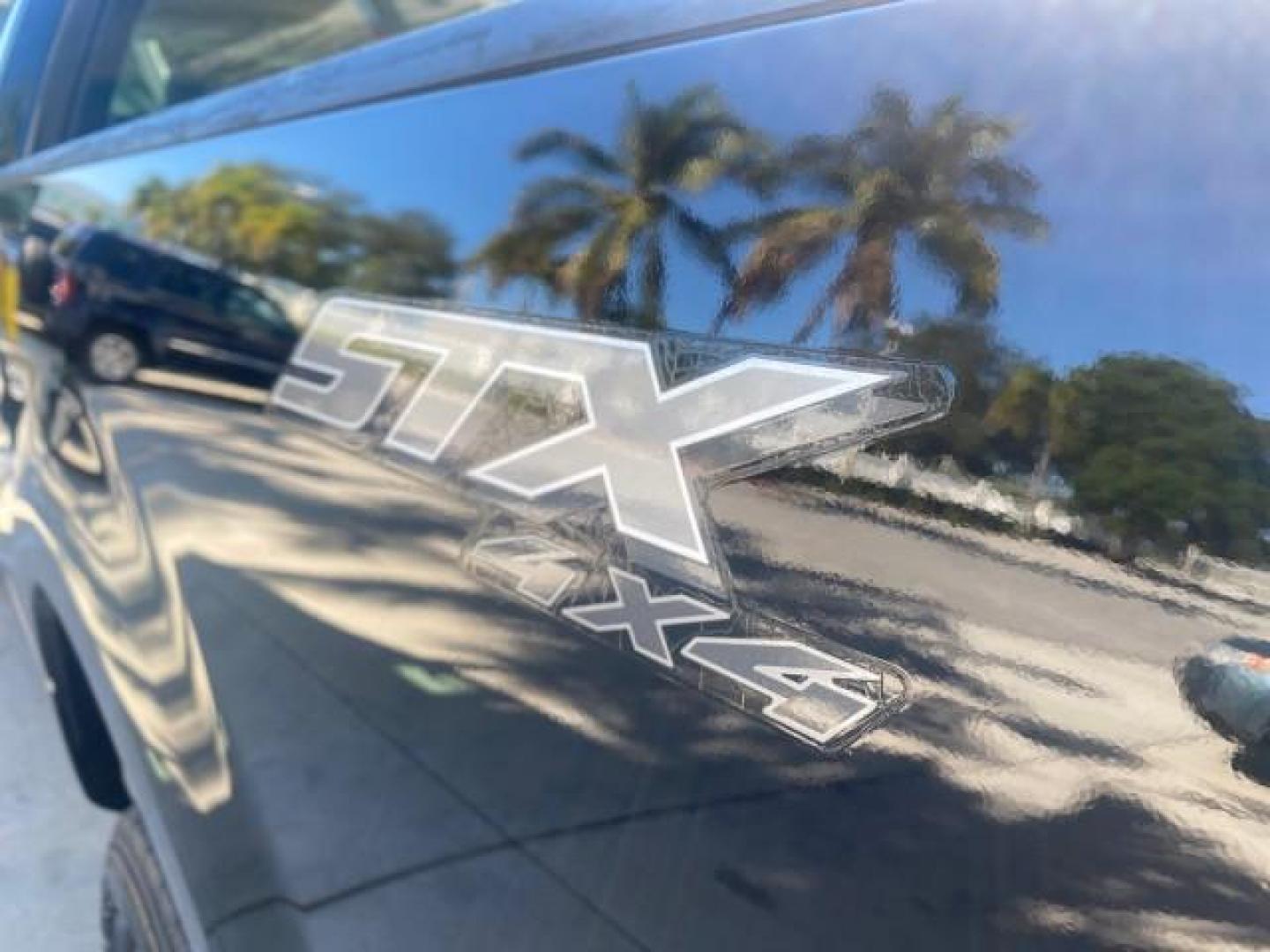 2004 Black /Flint Ford F-150 STX LOW MILES 46,755 4WD (1FTRF14W54N) with an 4.6L EFI V8 Engine engine, Automatic transmission, located at 4701 North Dixie Hwy, Pompano Beach, FL, 33064, (954) 422-2889, 26.240938, -80.123474 - OUR WEBPAGE FLORIDACARS1.COM HAS OVER 100 PHOTOS AND FREE CARFAX LINK 2004 FORD F-150 STX 4WD WE HAVE THE LOWEST MILEAGE ONE FOR SALE IN THE COUNTRY 46,755 VIN: 1FTRF14W54NB29502 1 F T R F 1 4 W 5 4 N B 2 9 5 0 2 PICKUP 4.6L V8 F SOHC 16V GASOLINE 18 MPG REAR WHEEL DRIVE W/ 4X4 Features 4WD/AWD ABS - Photo#89