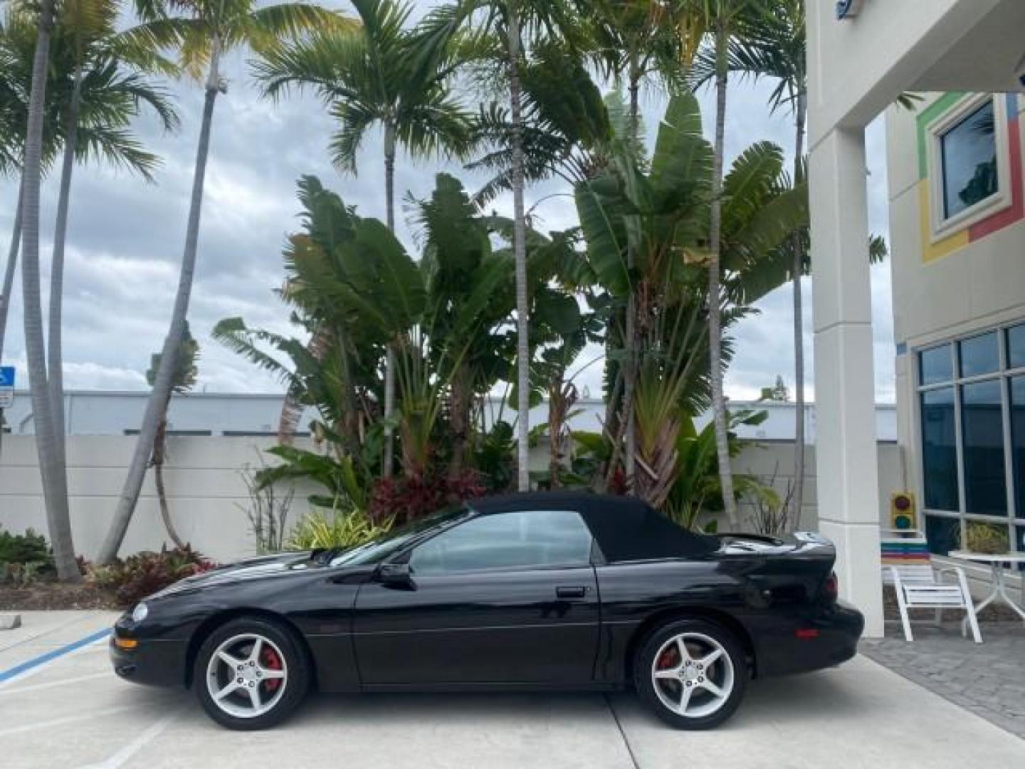 2002 Black /Ebony Chevrolet Camaro Z28 CONV 6 SPD LOW MILES 29,016 (2G1FP32G622) with an 5.7L SFI V8 Engine engine, Manual transmission, located at 4701 North Dixie Hwy, Pompano Beach, FL, 33064, (954) 422-2889, 26.240938, -80.123474 - OUR WEBPAGE FLORIDACARS1.COM HAS OVER 100 PHOTOS AND FREE CARFAX LINK 2002 CHEVROLET CAMARO Z28 6 SPEED ALL ORIGINAL PAINT VERY LOW MILES VIN: 2G1FP32G622129985 2 G 1 F P 3 2 G 6 2 2 1 2 9 9 8 5 CONVERTIBLE 5.7L V8 F OHV GASOLINE 25 MPG REAR WHEEL DRIVE Features ABS Brakes Air Conditioning Alloy Whe - Photo#4
