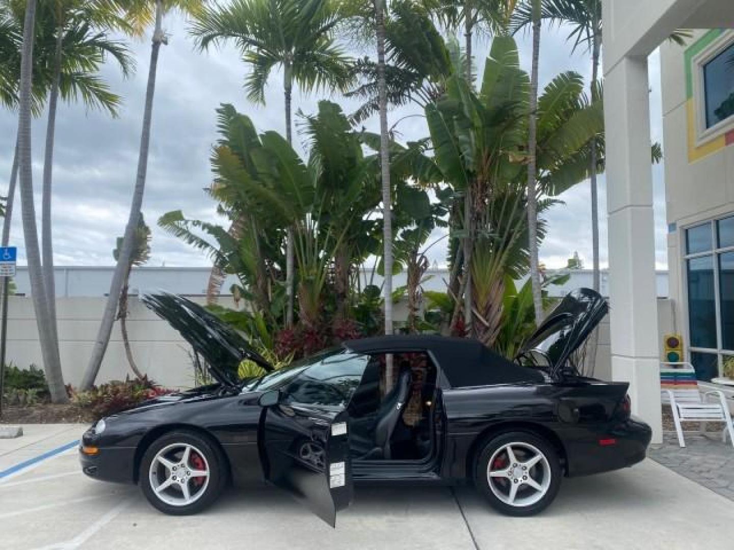 2002 Black /Ebony Chevrolet Camaro Z28 CONV 6 SPD LOW MILES 29,016 (2G1FP32G622) with an 5.7L SFI V8 Engine engine, Manual transmission, located at 4701 North Dixie Hwy, Pompano Beach, FL, 33064, (954) 422-2889, 26.240938, -80.123474 - OUR WEBPAGE FLORIDACARS1.COM HAS OVER 100 PHOTOS AND FREE CARFAX LINK 2002 CHEVROLET CAMARO Z28 6 SPEED ALL ORIGINAL PAINT VERY LOW MILES VIN: 2G1FP32G622129985 2 G 1 F P 3 2 G 6 2 2 1 2 9 9 8 5 CONVERTIBLE 5.7L V8 F OHV GASOLINE 25 MPG REAR WHEEL DRIVE Features ABS Brakes Air Conditioning Alloy Whe - Photo#8