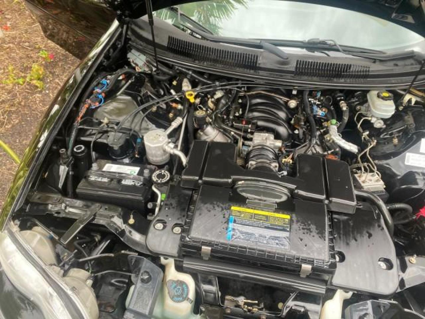 2002 Black /Ebony Chevrolet Camaro Z28 CONV 6 SPD LOW MILES 29,016 (2G1FP32G622) with an 5.7L SFI V8 Engine engine, Manual transmission, located at 4701 North Dixie Hwy, Pompano Beach, FL, 33064, (954) 422-2889, 26.240938, -80.123474 - OUR WEBPAGE FLORIDACARS1.COM HAS OVER 100 PHOTOS AND FREE CARFAX LINK 2002 CHEVROLET CAMARO Z28 6 SPEED ALL ORIGINAL PAINT VERY LOW MILES VIN: 2G1FP32G622129985 2 G 1 F P 3 2 G 6 2 2 1 2 9 9 8 5 CONVERTIBLE 5.7L V8 F OHV GASOLINE 25 MPG REAR WHEEL DRIVE Features ABS Brakes Air Conditioning Alloy Whe - Photo#24