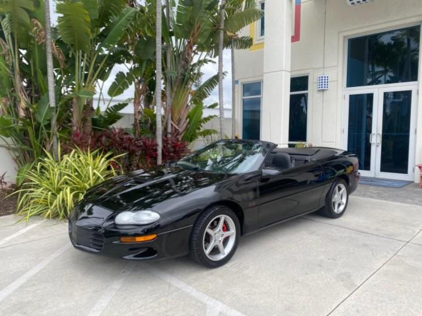 2002 Black /Ebony Chevrolet Camaro Z28 CONV 6 SPD LOW MILES 29,016 (2G1FP32G622) with an 5.7L SFI V8 Engine engine, Manual transmission, located at 4701 North Dixie Hwy, Pompano Beach, FL, 33064, (954) 422-2889, 26.240938, -80.123474 - OUR WEBPAGE FLORIDACARS1.COM HAS OVER 100 PHOTOS AND FREE CARFAX LINK 2002 CHEVROLET CAMARO Z28 6 SPEED ALL ORIGINAL PAINT VERY LOW MILES VIN: 2G1FP32G622129985 2 G 1 F P 3 2 G 6 2 2 1 2 9 9 8 5 CONVERTIBLE 5.7L V8 F OHV GASOLINE 25 MPG REAR WHEEL DRIVE Features ABS Brakes Air Conditioning Alloy Whe - Photo#31