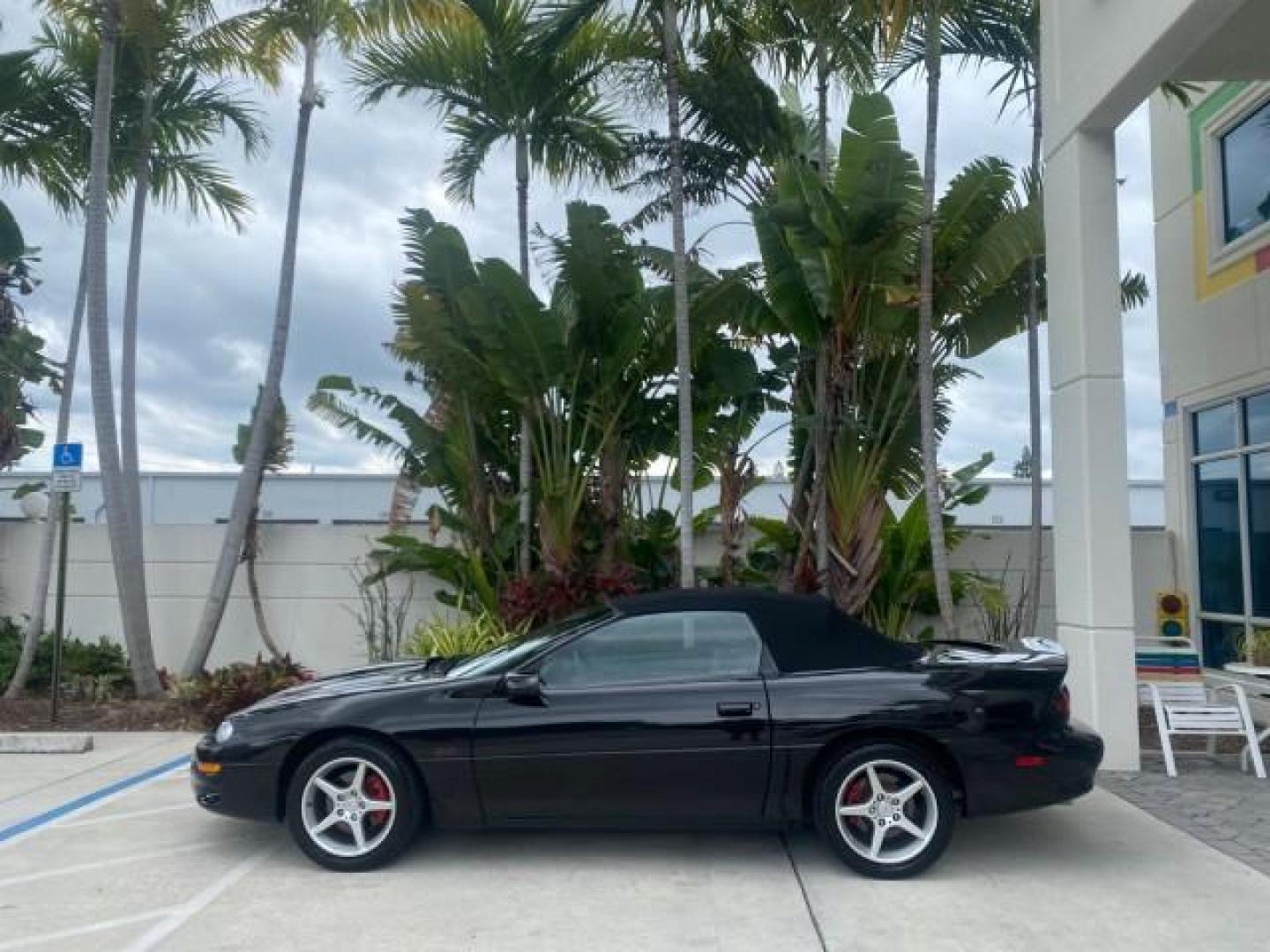 2002 Black /Ebony Chevrolet Camaro Z28 CONV 6 SPD LOW MILES 29,016 (2G1FP32G622) with an 5.7L SFI V8 Engine engine, Manual transmission, located at 4701 North Dixie Hwy, Pompano Beach, FL, 33064, (954) 422-2889, 26.240938, -80.123474 - OUR WEBPAGE FLORIDACARS1.COM HAS OVER 100 PHOTOS AND FREE CARFAX LINK 2002 CHEVROLET CAMARO Z28 6 SPEED ALL ORIGINAL PAINT VERY LOW MILES VIN: 2G1FP32G622129985 2 G 1 F P 3 2 G 6 2 2 1 2 9 9 8 5 CONVERTIBLE 5.7L V8 F OHV GASOLINE 25 MPG REAR WHEEL DRIVE Features ABS Brakes Air Conditioning Alloy Whe - Photo#34