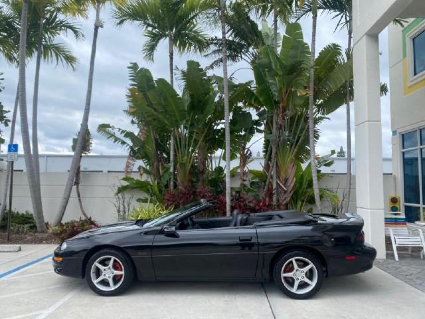 2002 Black /Ebony Chevrolet Camaro Z28 CONV 6 SPD LOW MILES 29,016 (2G1FP32G622) with an 5.7L SFI V8 Engine engine, Manual transmission, located at 4701 North Dixie Hwy, Pompano Beach, FL, 33064, (954) 422-2889, 26.240938, -80.123474 - OUR WEBPAGE FLORIDACARS1.COM HAS OVER 100 PHOTOS AND FREE CARFAX LINK 2002 CHEVROLET CAMARO Z28 6 SPEED ALL ORIGINAL PAINT VERY LOW MILES VIN: 2G1FP32G622129985 2 G 1 F P 3 2 G 6 2 2 1 2 9 9 8 5 CONVERTIBLE 5.7L V8 F OHV GASOLINE 25 MPG REAR WHEEL DRIVE Features ABS Brakes Air Conditioning Alloy Whe - Photo#35