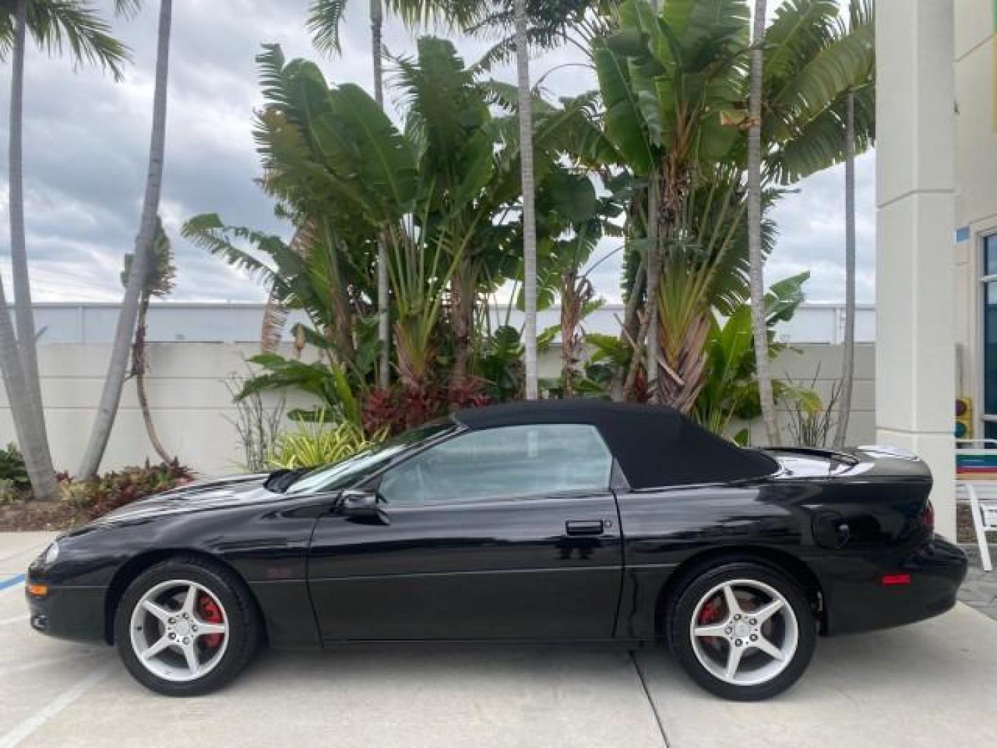 2002 Black /Ebony Chevrolet Camaro Z28 CONV 6 SPD LOW MILES 29,016 (2G1FP32G622) with an 5.7L SFI V8 Engine engine, Manual transmission, located at 4701 North Dixie Hwy, Pompano Beach, FL, 33064, (954) 422-2889, 26.240938, -80.123474 - OUR WEBPAGE FLORIDACARS1.COM HAS OVER 100 PHOTOS AND FREE CARFAX LINK 2002 CHEVROLET CAMARO Z28 6 SPEED ALL ORIGINAL PAINT VERY LOW MILES VIN: 2G1FP32G622129985 2 G 1 F P 3 2 G 6 2 2 1 2 9 9 8 5 CONVERTIBLE 5.7L V8 F OHV GASOLINE 25 MPG REAR WHEEL DRIVE Features ABS Brakes Air Conditioning Alloy Whe - Photo#36