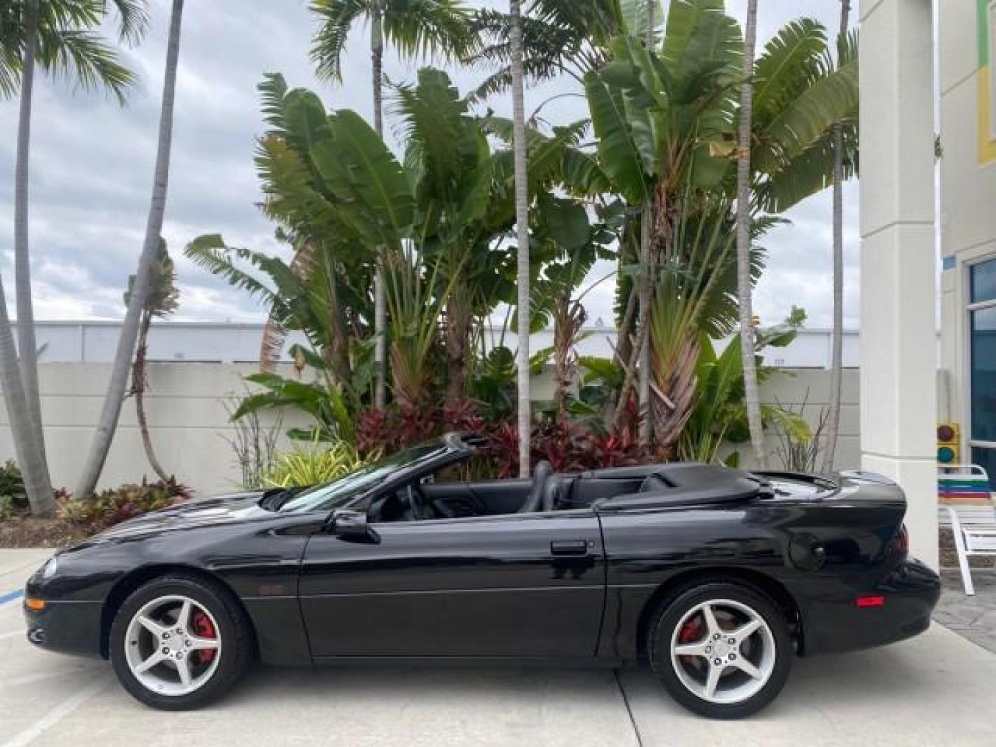 2002 Black /Ebony Chevrolet Camaro Z28 CONV 6 SPD LOW MILES 29,016 (2G1FP32G622) with an 5.7L SFI V8 Engine engine, Manual transmission, located at 4701 North Dixie Hwy, Pompano Beach, FL, 33064, (954) 422-2889, 26.240938, -80.123474 - OUR WEBPAGE FLORIDACARS1.COM HAS OVER 100 PHOTOS AND FREE CARFAX LINK 2002 CHEVROLET CAMARO Z28 6 SPEED ALL ORIGINAL PAINT VERY LOW MILES VIN: 2G1FP32G622129985 2 G 1 F P 3 2 G 6 2 2 1 2 9 9 8 5 CONVERTIBLE 5.7L V8 F OHV GASOLINE 25 MPG REAR WHEEL DRIVE Features ABS Brakes Air Conditioning Alloy Whe - Photo#37