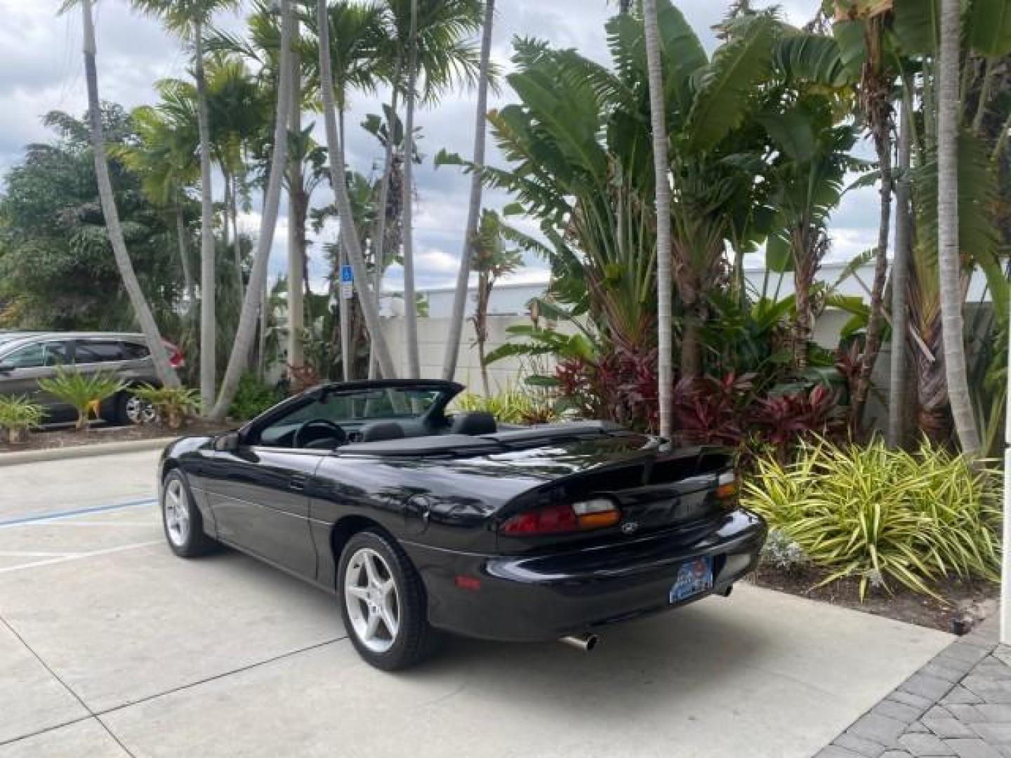 2002 Black /Ebony Chevrolet Camaro Z28 CONV 6 SPD LOW MILES 29,016 (2G1FP32G622) with an 5.7L SFI V8 Engine engine, Manual transmission, located at 4701 North Dixie Hwy, Pompano Beach, FL, 33064, (954) 422-2889, 26.240938, -80.123474 - OUR WEBPAGE FLORIDACARS1.COM HAS OVER 100 PHOTOS AND FREE CARFAX LINK 2002 CHEVROLET CAMARO Z28 6 SPEED ALL ORIGINAL PAINT VERY LOW MILES VIN: 2G1FP32G622129985 2 G 1 F P 3 2 G 6 2 2 1 2 9 9 8 5 CONVERTIBLE 5.7L V8 F OHV GASOLINE 25 MPG REAR WHEEL DRIVE Features ABS Brakes Air Conditioning Alloy Whe - Photo#39