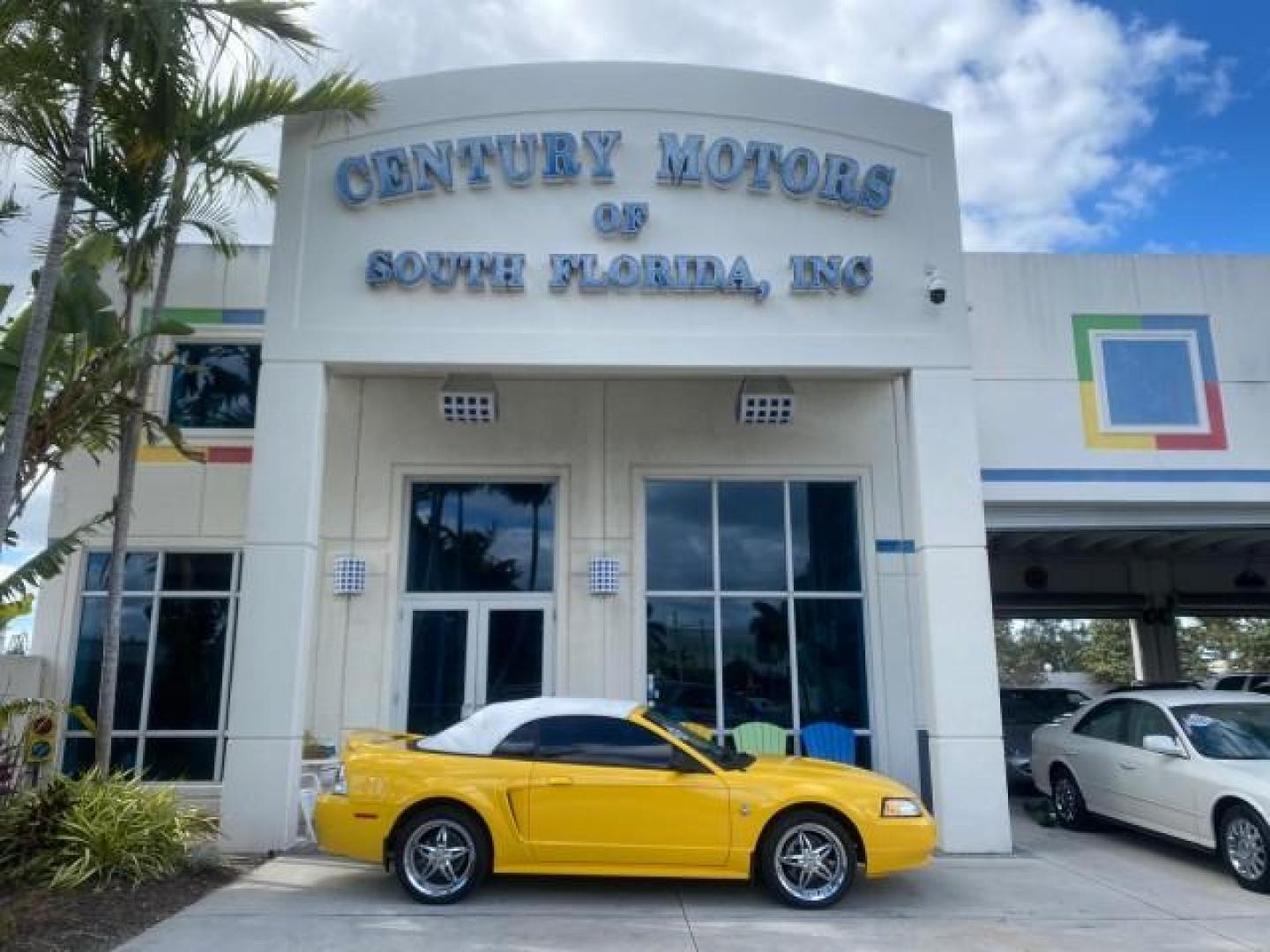 1999 Chrome Yellow /Oxford White Ford Mustang GT LOW MILES 8,145 1 OWNER FL CONV (1FAFP45X3XF) with an 4.6L SOHC SMPI V8 Engine engine, Automatic transmission, located at 4701 North Dixie Hwy, Pompano Beach, FL, 33064, (954) 422-2889, 26.240938, -80.123474 - OUR WEBPAGE FLORIDACARS1.COM HAS OVER 100 PHOTOS AND FREE CARFAX LINK 1999 FORD MUSTANG GT 1 OWNER VIN: 1FAFP45X3XF127745 1 F A F P 4 5 X 3 X F 1 2 7 7 4 5 CONVERTIBLE 4.6L V8 F SOHC 16V GASOLINE 24 MPG REAR WHEEL DRIVE Features ABS Brakes Air Conditioning Alloy Wheels AM/FM Stereo Automatic Transmi - Photo#0