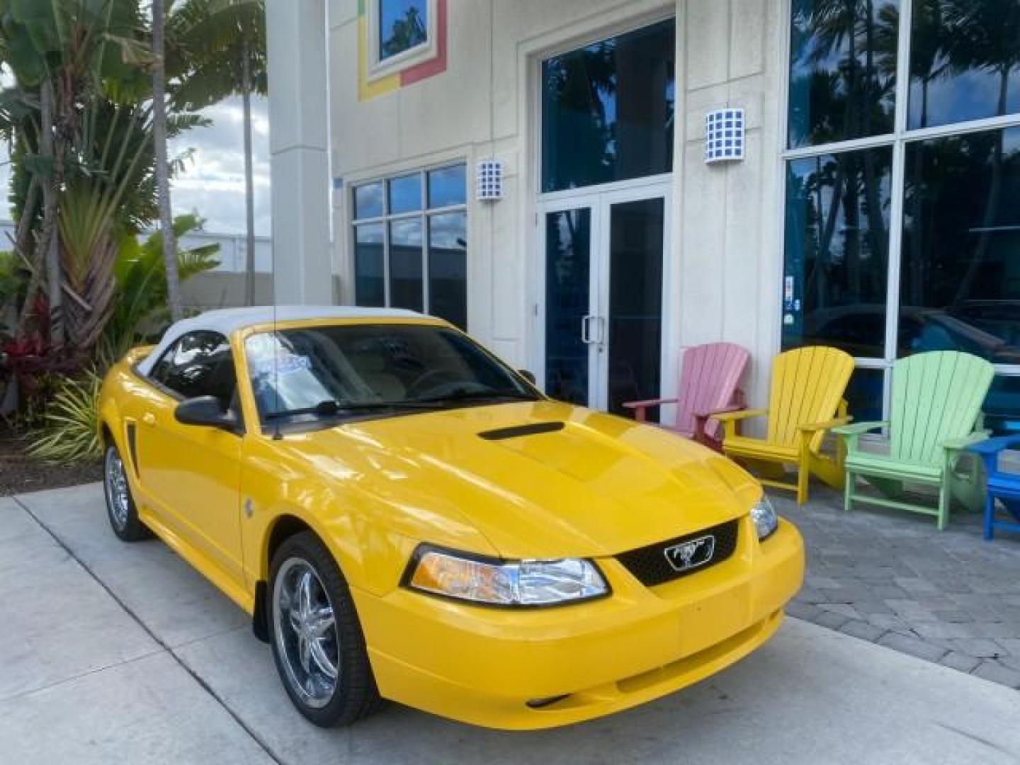 1999 Chrome Yellow /Oxford White Ford Mustang GT LOW MILES 8,145 1 OWNER FL CONV (1FAFP45X3XF) with an 4.6L SOHC SMPI V8 Engine engine, Automatic transmission, located at 4701 North Dixie Hwy, Pompano Beach, FL, 33064, (954) 422-2889, 26.240938, -80.123474 - OUR WEBPAGE FLORIDACARS1.COM HAS OVER 100 PHOTOS AND FREE CARFAX LINK 1999 FORD MUSTANG GT 1 OWNER VIN: 1FAFP45X3XF127745 1 F A F P 4 5 X 3 X F 1 2 7 7 4 5 CONVERTIBLE 4.6L V8 F SOHC 16V GASOLINE 24 MPG REAR WHEEL DRIVE Features ABS Brakes Air Conditioning Alloy Wheels AM/FM Stereo Automatic Transmi - Photo#1