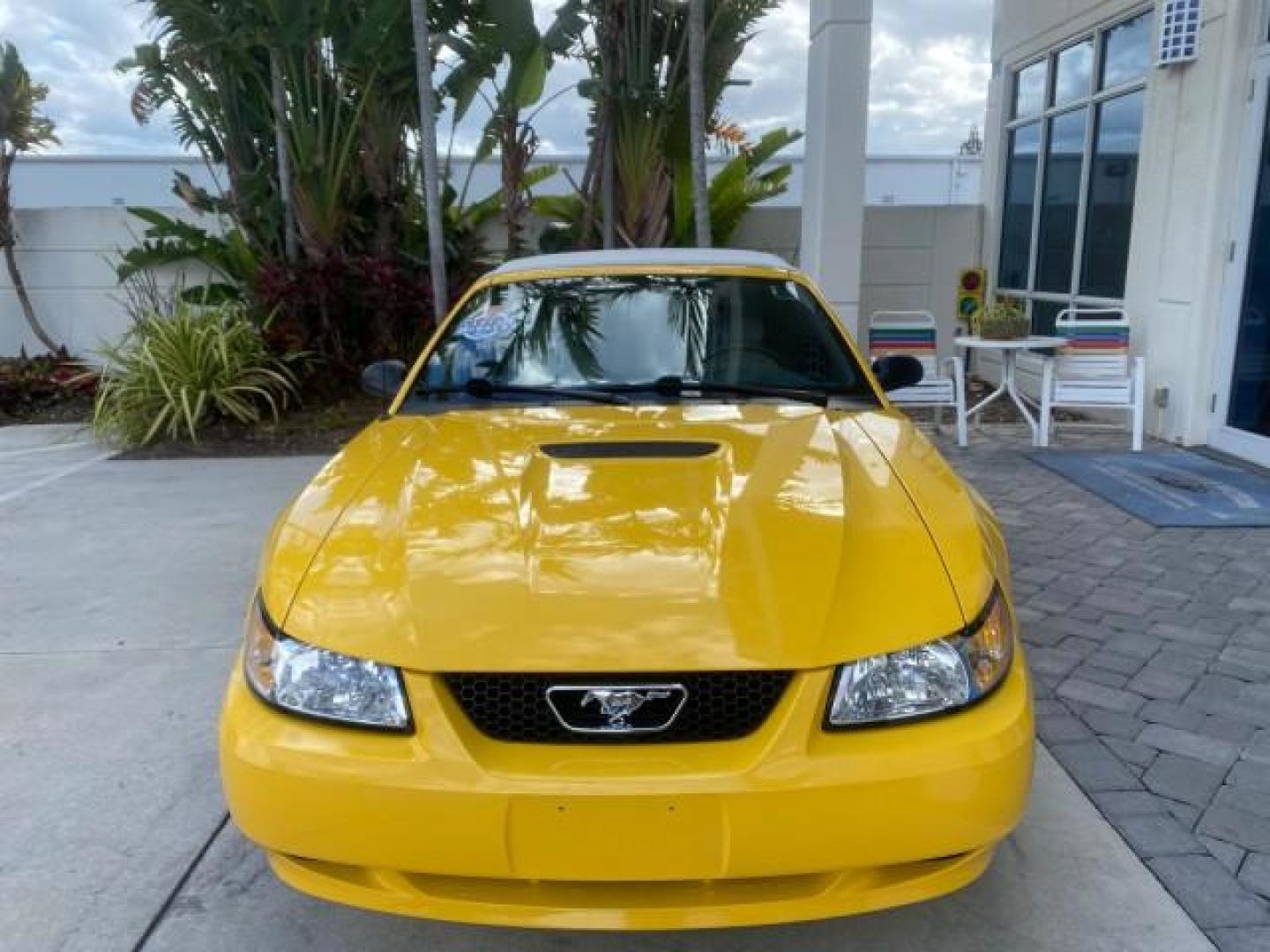 1999 Chrome Yellow /Oxford White Ford Mustang GT LOW MILES 8,145 1 OWNER FL CONV (1FAFP45X3XF) with an 4.6L SOHC SMPI V8 Engine engine, Automatic transmission, located at 4701 North Dixie Hwy, Pompano Beach, FL, 33064, (954) 422-2889, 26.240938, -80.123474 - OUR WEBPAGE FLORIDACARS1.COM HAS OVER 100 PHOTOS AND FREE CARFAX LINK 1999 FORD MUSTANG GT 1 OWNER VIN: 1FAFP45X3XF127745 1 F A F P 4 5 X 3 X F 1 2 7 7 4 5 CONVERTIBLE 4.6L V8 F SOHC 16V GASOLINE 24 MPG REAR WHEEL DRIVE Features ABS Brakes Air Conditioning Alloy Wheels AM/FM Stereo Automatic Transmi - Photo#2