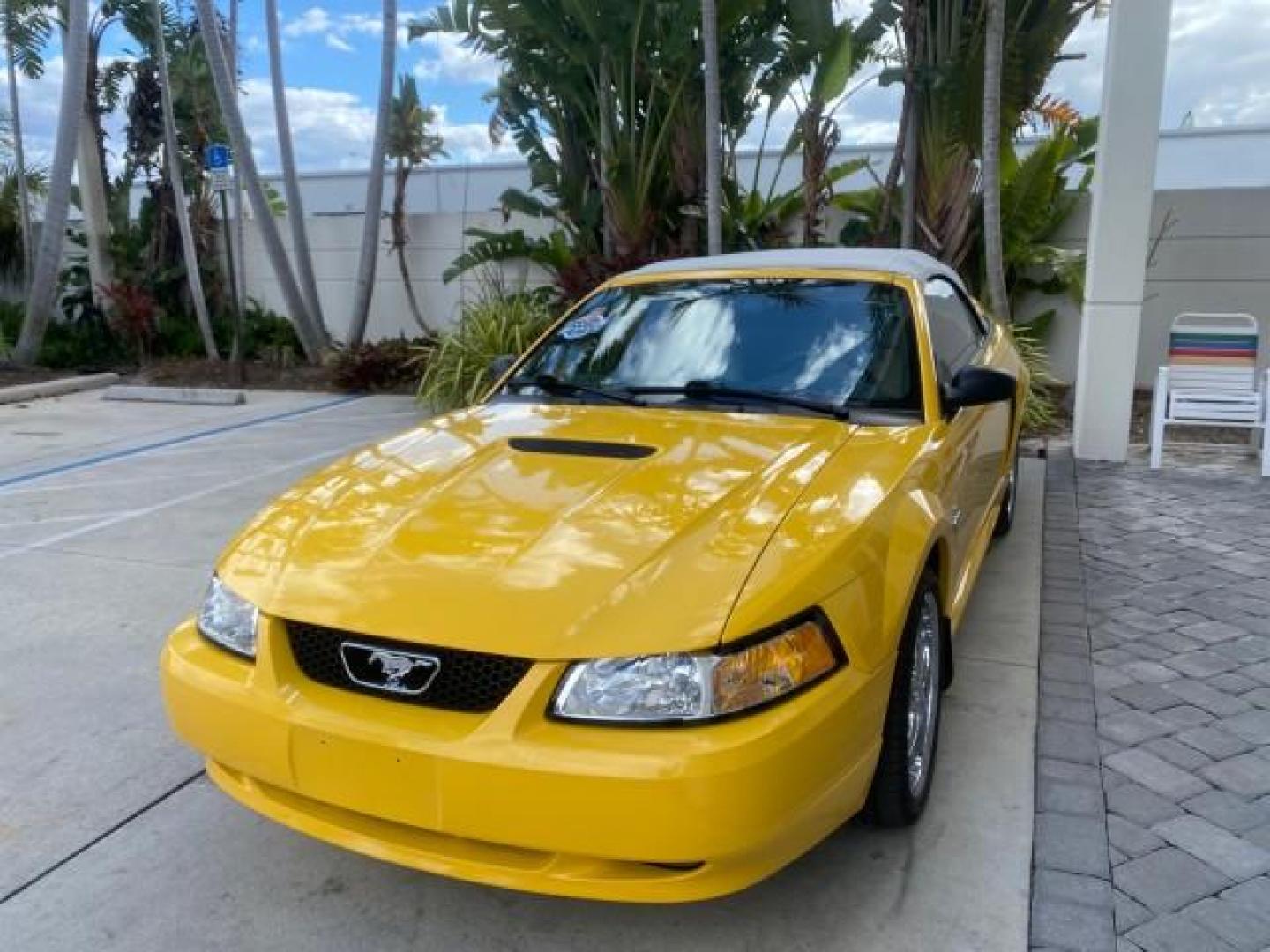 1999 Chrome Yellow /Oxford White Ford Mustang GT LOW MILES 8,145 1 OWNER FL CONV (1FAFP45X3XF) with an 4.6L SOHC SMPI V8 Engine engine, Automatic transmission, located at 4701 North Dixie Hwy, Pompano Beach, FL, 33064, (954) 422-2889, 26.240938, -80.123474 - OUR WEBPAGE FLORIDACARS1.COM HAS OVER 100 PHOTOS AND FREE CARFAX LINK 1999 FORD MUSTANG GT 1 OWNER VIN: 1FAFP45X3XF127745 1 F A F P 4 5 X 3 X F 1 2 7 7 4 5 CONVERTIBLE 4.6L V8 F SOHC 16V GASOLINE 24 MPG REAR WHEEL DRIVE Features ABS Brakes Air Conditioning Alloy Wheels AM/FM Stereo Automatic Transmi - Photo#3