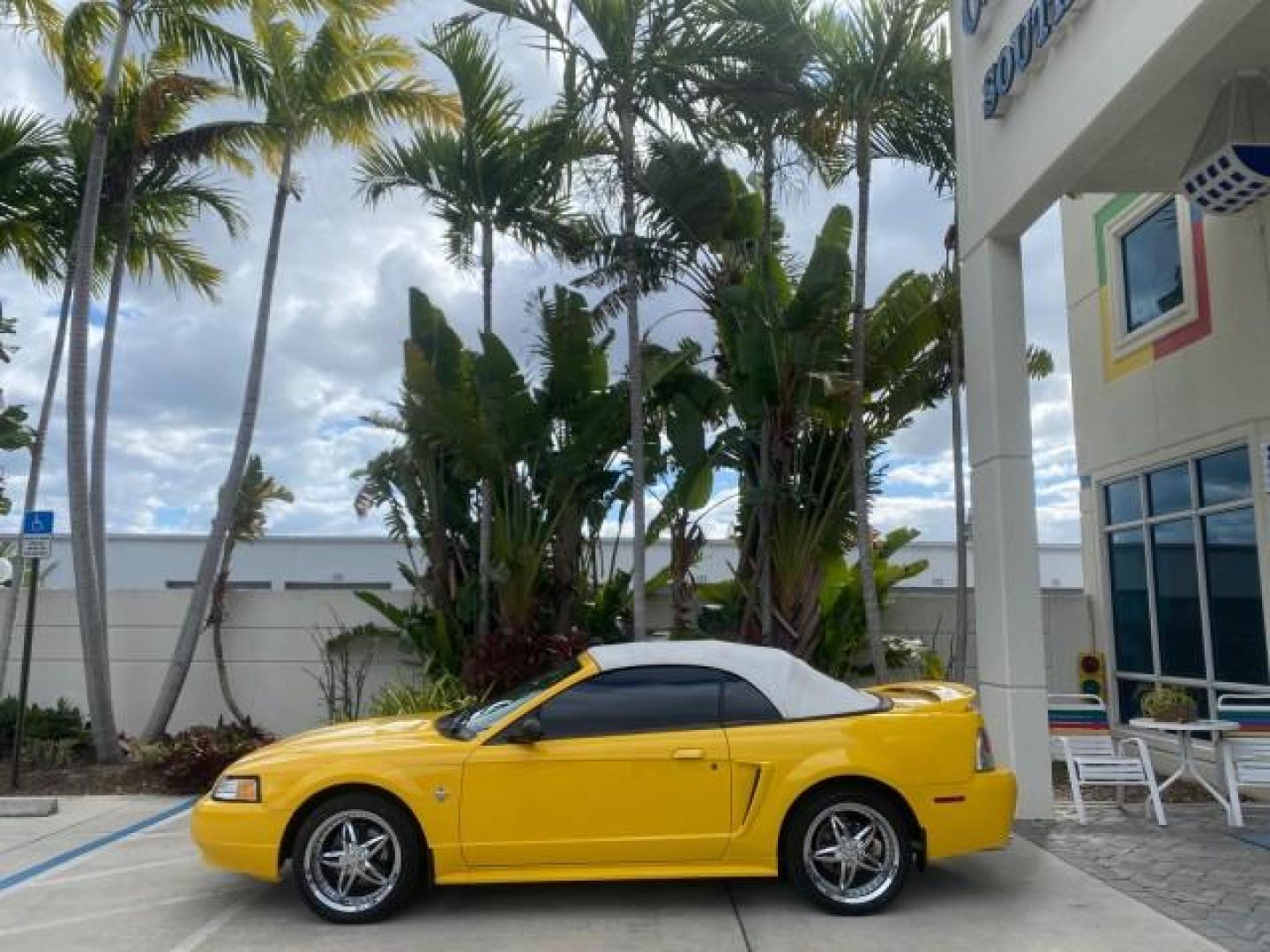 1999 Chrome Yellow /Oxford White Ford Mustang GT LOW MILES 8,145 1 OWNER FL CONV (1FAFP45X3XF) with an 4.6L SOHC SMPI V8 Engine engine, Automatic transmission, located at 4701 North Dixie Hwy, Pompano Beach, FL, 33064, (954) 422-2889, 26.240938, -80.123474 - OUR WEBPAGE FLORIDACARS1.COM HAS OVER 100 PHOTOS AND FREE CARFAX LINK 1999 FORD MUSTANG GT 1 OWNER VIN: 1FAFP45X3XF127745 1 F A F P 4 5 X 3 X F 1 2 7 7 4 5 CONVERTIBLE 4.6L V8 F SOHC 16V GASOLINE 24 MPG REAR WHEEL DRIVE Features ABS Brakes Air Conditioning Alloy Wheels AM/FM Stereo Automatic Transmi - Photo#4