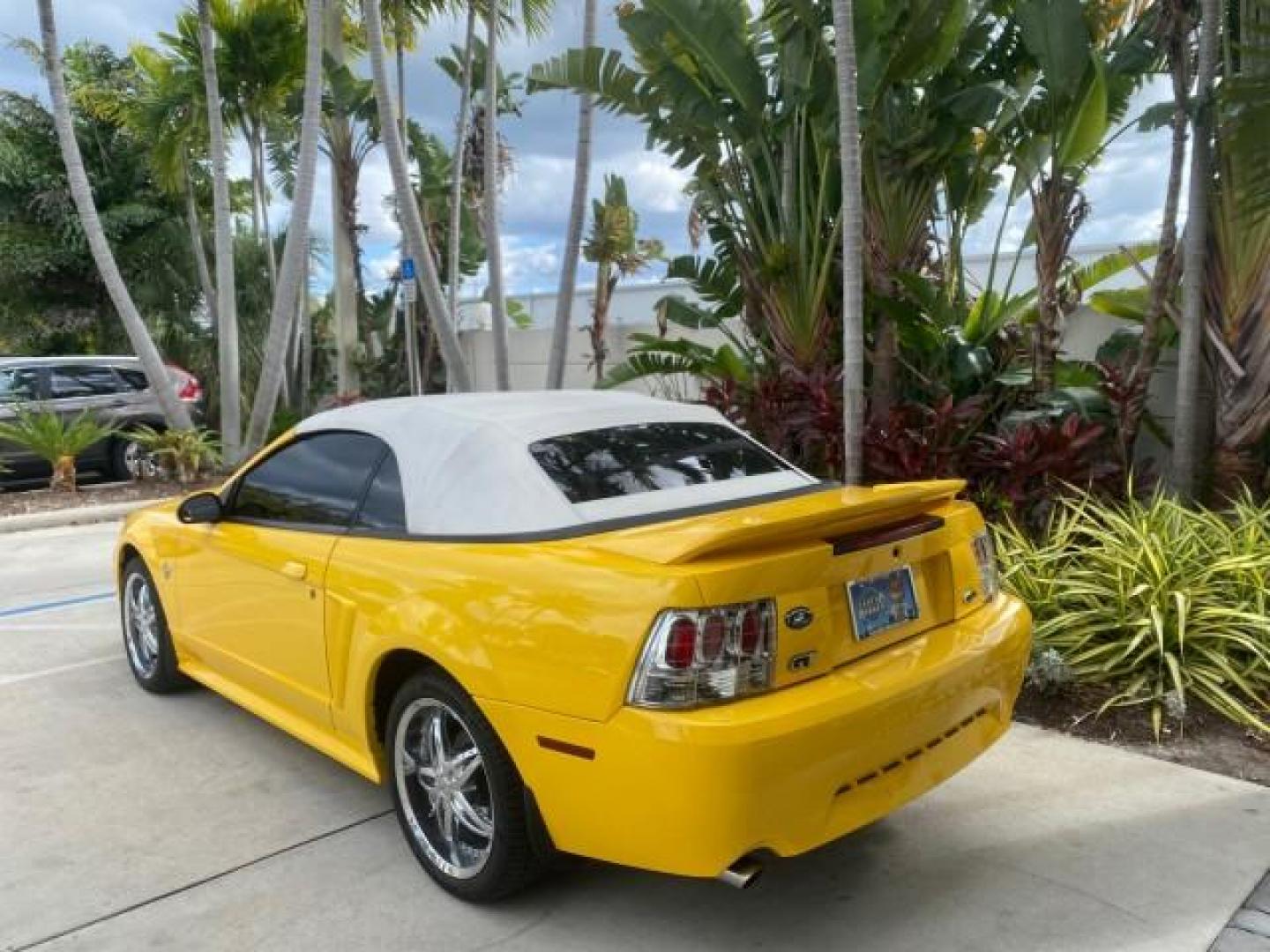 1999 Chrome Yellow /Oxford White Ford Mustang GT LOW MILES 8,145 1 OWNER FL CONV (1FAFP45X3XF) with an 4.6L SOHC SMPI V8 Engine engine, Automatic transmission, located at 4701 North Dixie Hwy, Pompano Beach, FL, 33064, (954) 422-2889, 26.240938, -80.123474 - OUR WEBPAGE FLORIDACARS1.COM HAS OVER 100 PHOTOS AND FREE CARFAX LINK 1999 FORD MUSTANG GT 1 OWNER VIN: 1FAFP45X3XF127745 1 F A F P 4 5 X 3 X F 1 2 7 7 4 5 CONVERTIBLE 4.6L V8 F SOHC 16V GASOLINE 24 MPG REAR WHEEL DRIVE Features ABS Brakes Air Conditioning Alloy Wheels AM/FM Stereo Automatic Transmi - Photo#5