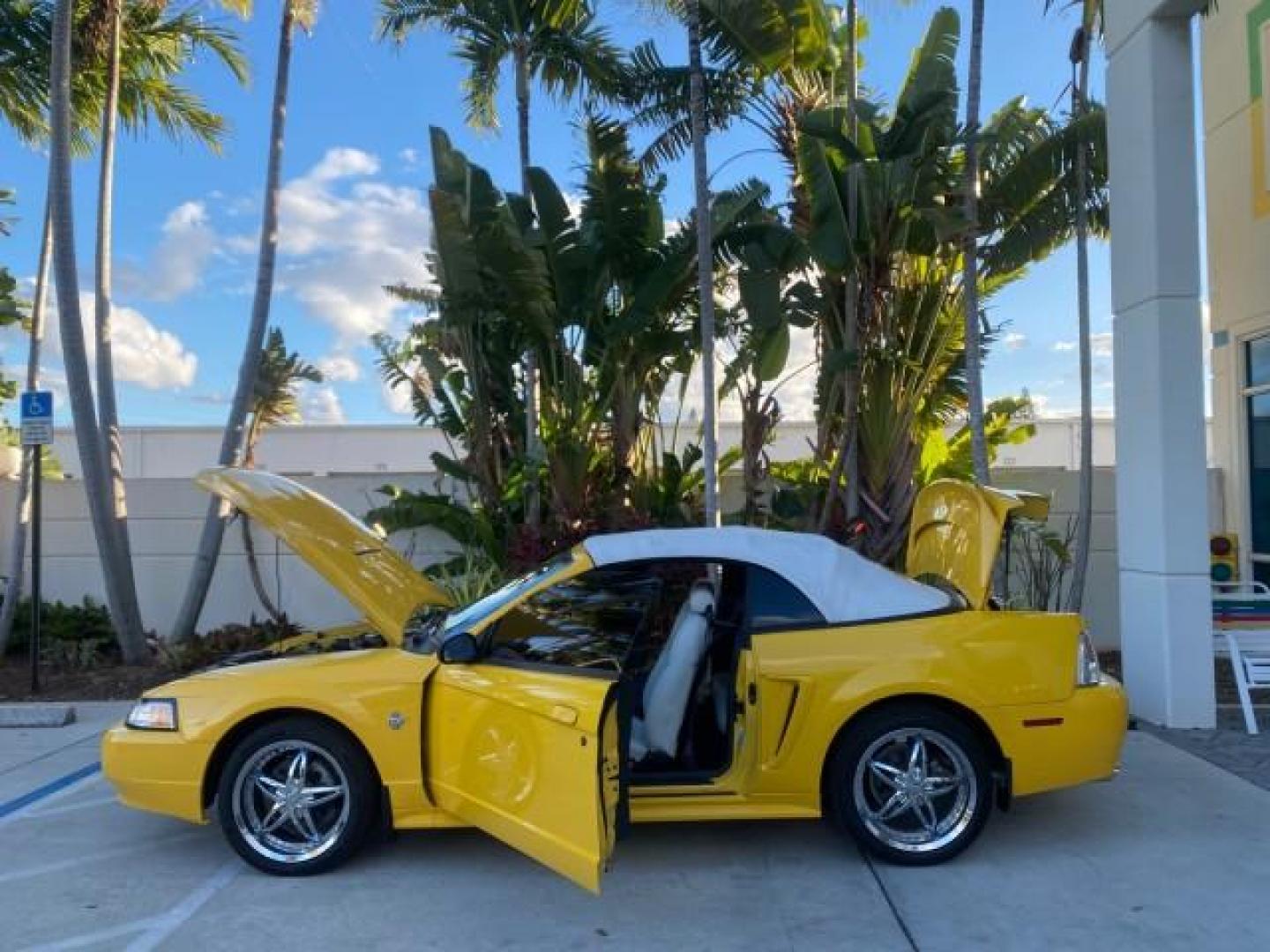 1999 Chrome Yellow /Oxford White Ford Mustang GT LOW MILES 8,145 1 OWNER FL CONV (1FAFP45X3XF) with an 4.6L SOHC SMPI V8 Engine engine, Automatic transmission, located at 4701 North Dixie Hwy, Pompano Beach, FL, 33064, (954) 422-2889, 26.240938, -80.123474 - OUR WEBPAGE FLORIDACARS1.COM HAS OVER 100 PHOTOS AND FREE CARFAX LINK 1999 FORD MUSTANG GT 1 OWNER VIN: 1FAFP45X3XF127745 1 F A F P 4 5 X 3 X F 1 2 7 7 4 5 CONVERTIBLE 4.6L V8 F SOHC 16V GASOLINE 24 MPG REAR WHEEL DRIVE Features ABS Brakes Air Conditioning Alloy Wheels AM/FM Stereo Automatic Transmi - Photo#8