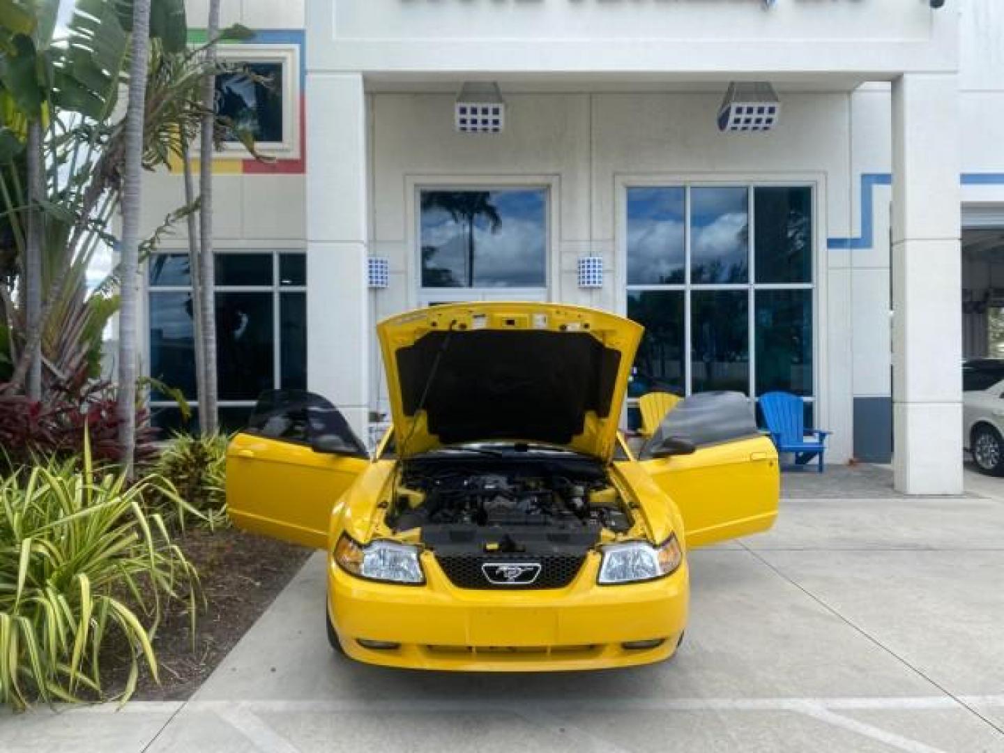 1999 Chrome Yellow /Oxford White Ford Mustang GT LOW MILES 8,145 1 OWNER FL CONV (1FAFP45X3XF) with an 4.6L SOHC SMPI V8 Engine engine, Automatic transmission, located at 4701 North Dixie Hwy, Pompano Beach, FL, 33064, (954) 422-2889, 26.240938, -80.123474 - OUR WEBPAGE FLORIDACARS1.COM HAS OVER 100 PHOTOS AND FREE CARFAX LINK 1999 FORD MUSTANG GT 1 OWNER VIN: 1FAFP45X3XF127745 1 F A F P 4 5 X 3 X F 1 2 7 7 4 5 CONVERTIBLE 4.6L V8 F SOHC 16V GASOLINE 24 MPG REAR WHEEL DRIVE Features ABS Brakes Air Conditioning Alloy Wheels AM/FM Stereo Automatic Transmi - Photo#16