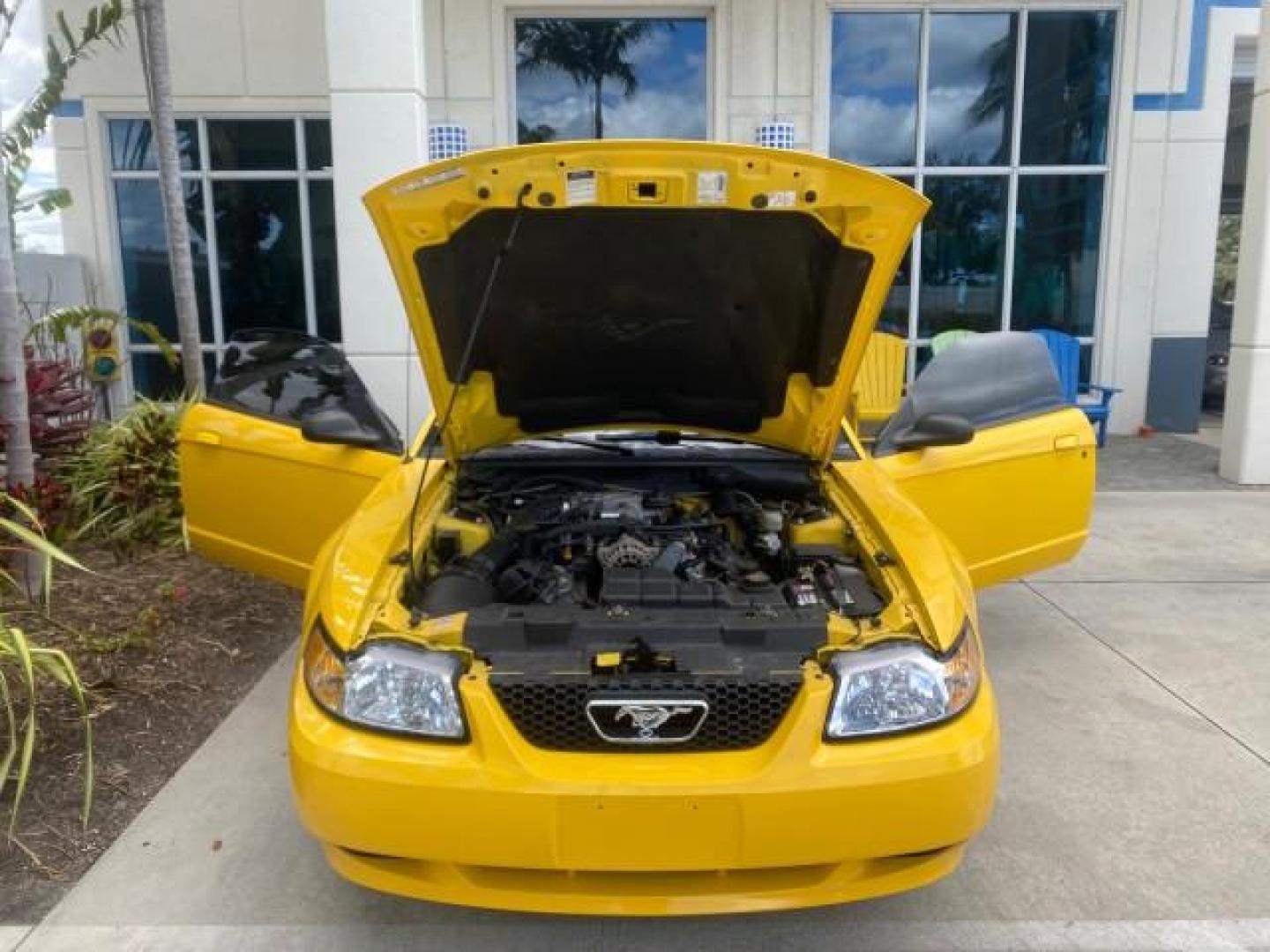 1999 Chrome Yellow /Oxford White Ford Mustang GT LOW MILES 8,145 1 OWNER FL CONV (1FAFP45X3XF) with an 4.6L SOHC SMPI V8 Engine engine, Automatic transmission, located at 4701 North Dixie Hwy, Pompano Beach, FL, 33064, (954) 422-2889, 26.240938, -80.123474 - OUR WEBPAGE FLORIDACARS1.COM HAS OVER 100 PHOTOS AND FREE CARFAX LINK 1999 FORD MUSTANG GT 1 OWNER VIN: 1FAFP45X3XF127745 1 F A F P 4 5 X 3 X F 1 2 7 7 4 5 CONVERTIBLE 4.6L V8 F SOHC 16V GASOLINE 24 MPG REAR WHEEL DRIVE Features ABS Brakes Air Conditioning Alloy Wheels AM/FM Stereo Automatic Transmi - Photo#17