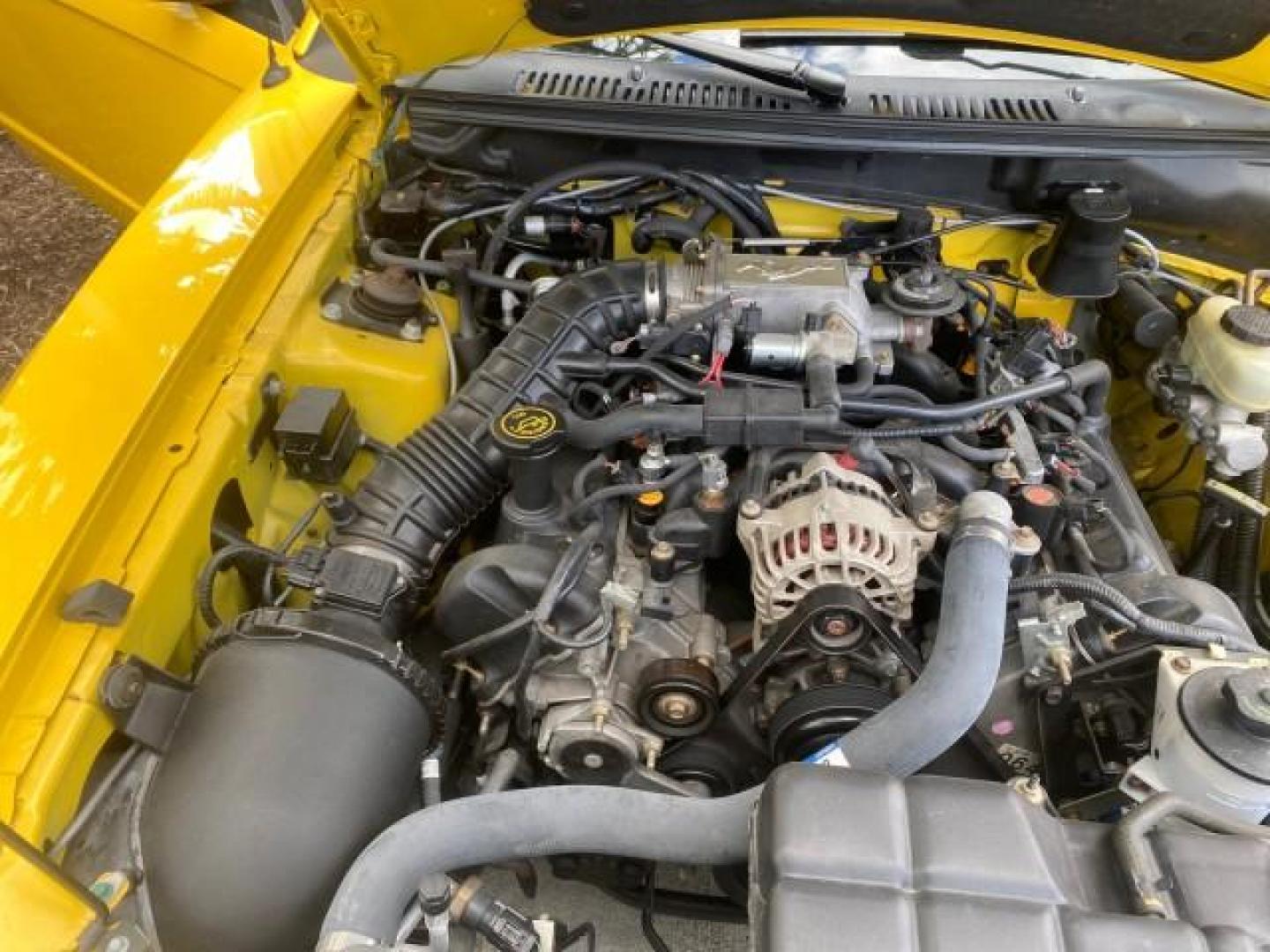 1999 Chrome Yellow /Oxford White Ford Mustang GT LOW MILES 8,145 1 OWNER FL CONV (1FAFP45X3XF) with an 4.6L SOHC SMPI V8 Engine engine, Automatic transmission, located at 4701 North Dixie Hwy, Pompano Beach, FL, 33064, (954) 422-2889, 26.240938, -80.123474 - OUR WEBPAGE FLORIDACARS1.COM HAS OVER 100 PHOTOS AND FREE CARFAX LINK 1999 FORD MUSTANG GT 1 OWNER VIN: 1FAFP45X3XF127745 1 F A F P 4 5 X 3 X F 1 2 7 7 4 5 CONVERTIBLE 4.6L V8 F SOHC 16V GASOLINE 24 MPG REAR WHEEL DRIVE Features ABS Brakes Air Conditioning Alloy Wheels AM/FM Stereo Automatic Transmi - Photo#24