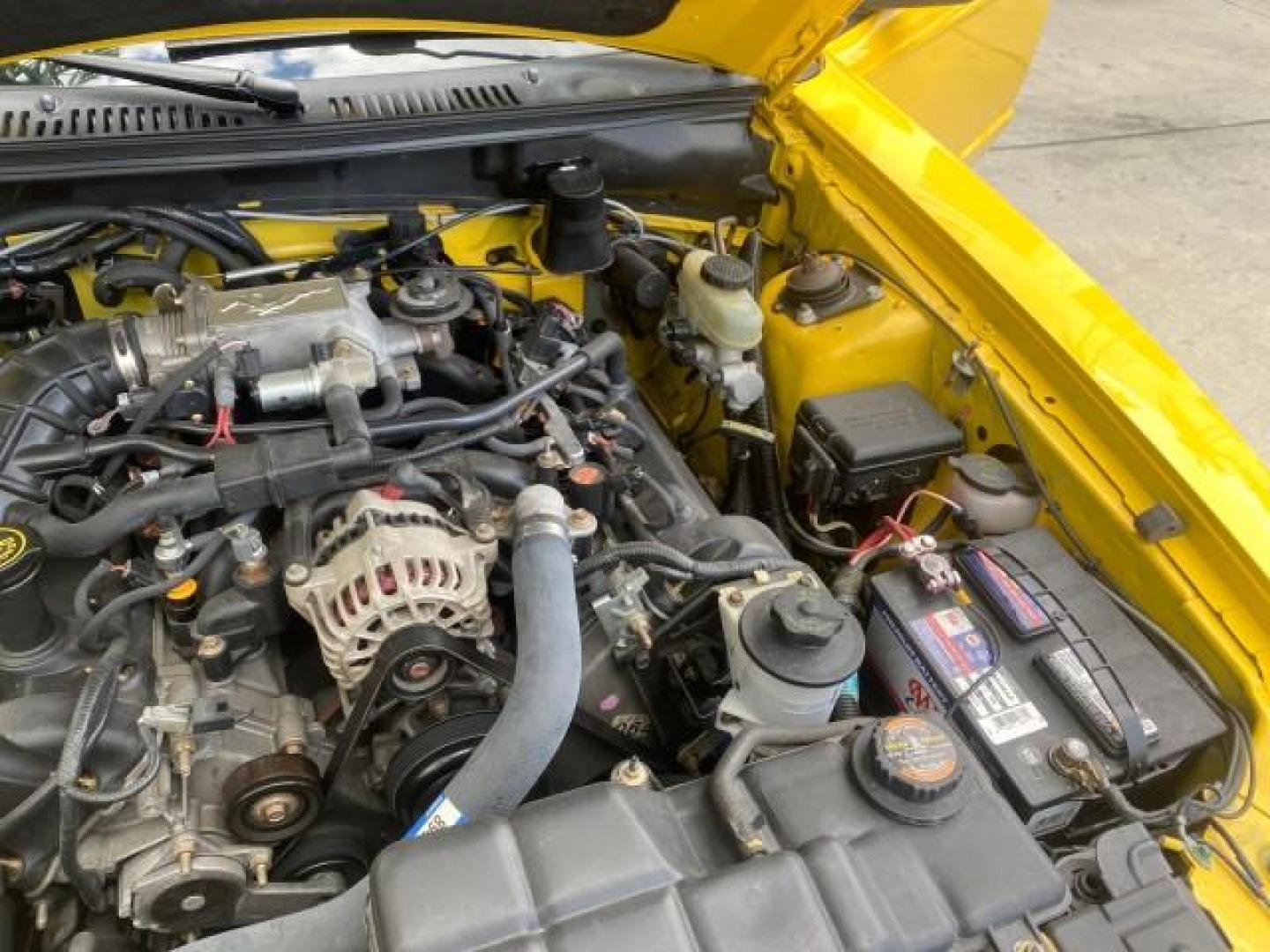 1999 Chrome Yellow /Oxford White Ford Mustang GT LOW MILES 8,145 1 OWNER FL CONV (1FAFP45X3XF) with an 4.6L SOHC SMPI V8 Engine engine, Automatic transmission, located at 4701 North Dixie Hwy, Pompano Beach, FL, 33064, (954) 422-2889, 26.240938, -80.123474 - OUR WEBPAGE FLORIDACARS1.COM HAS OVER 100 PHOTOS AND FREE CARFAX LINK 1999 FORD MUSTANG GT 1 OWNER VIN: 1FAFP45X3XF127745 1 F A F P 4 5 X 3 X F 1 2 7 7 4 5 CONVERTIBLE 4.6L V8 F SOHC 16V GASOLINE 24 MPG REAR WHEEL DRIVE Features ABS Brakes Air Conditioning Alloy Wheels AM/FM Stereo Automatic Transmi - Photo#25