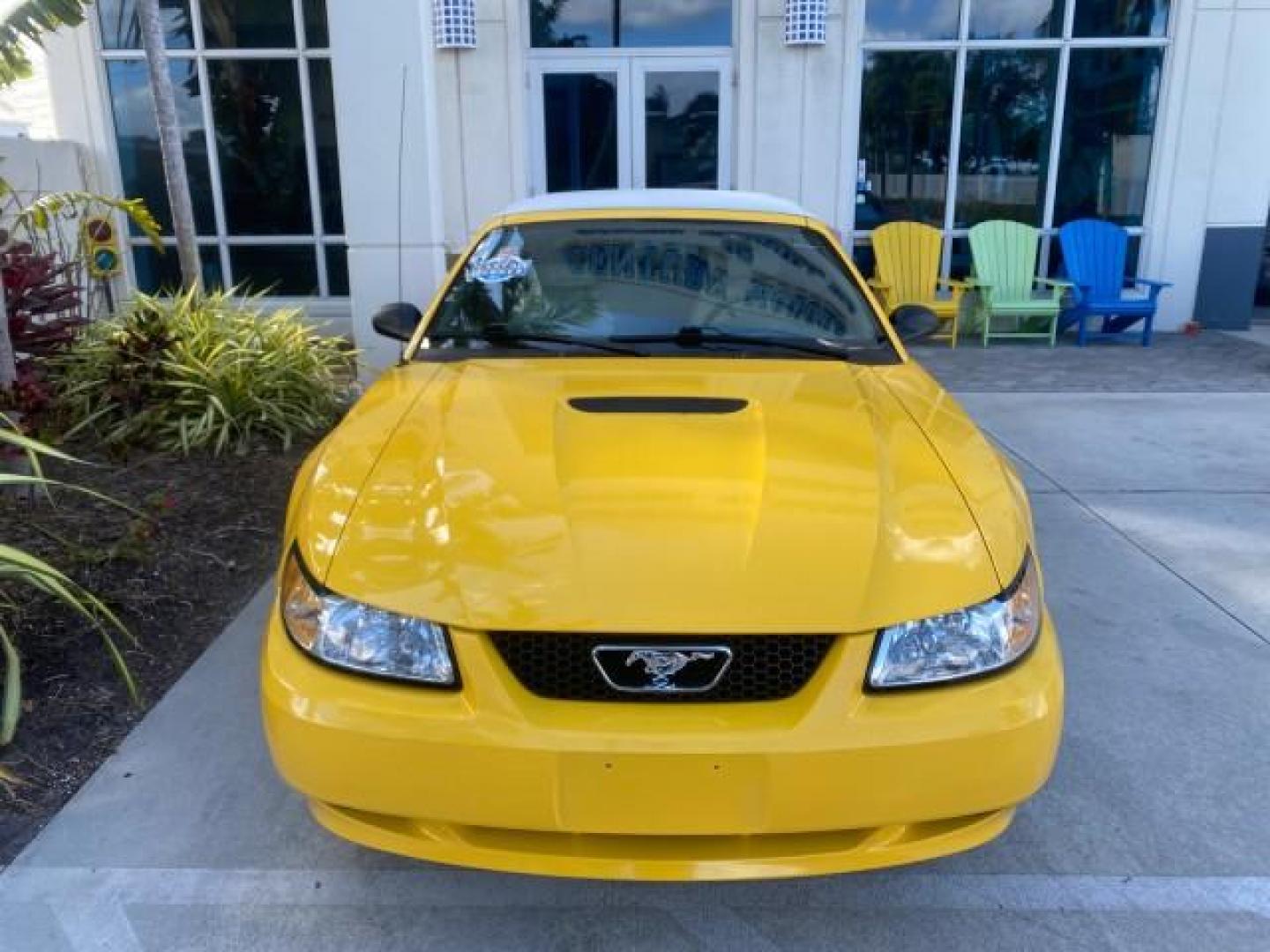1999 Chrome Yellow /Oxford White Ford Mustang GT LOW MILES 8,145 1 OWNER FL CONV (1FAFP45X3XF) with an 4.6L SOHC SMPI V8 Engine engine, Automatic transmission, located at 4701 North Dixie Hwy, Pompano Beach, FL, 33064, (954) 422-2889, 26.240938, -80.123474 - OUR WEBPAGE FLORIDACARS1.COM HAS OVER 100 PHOTOS AND FREE CARFAX LINK 1999 FORD MUSTANG GT 1 OWNER VIN: 1FAFP45X3XF127745 1 F A F P 4 5 X 3 X F 1 2 7 7 4 5 CONVERTIBLE 4.6L V8 F SOHC 16V GASOLINE 24 MPG REAR WHEEL DRIVE Features ABS Brakes Air Conditioning Alloy Wheels AM/FM Stereo Automatic Transmi - Photo#28