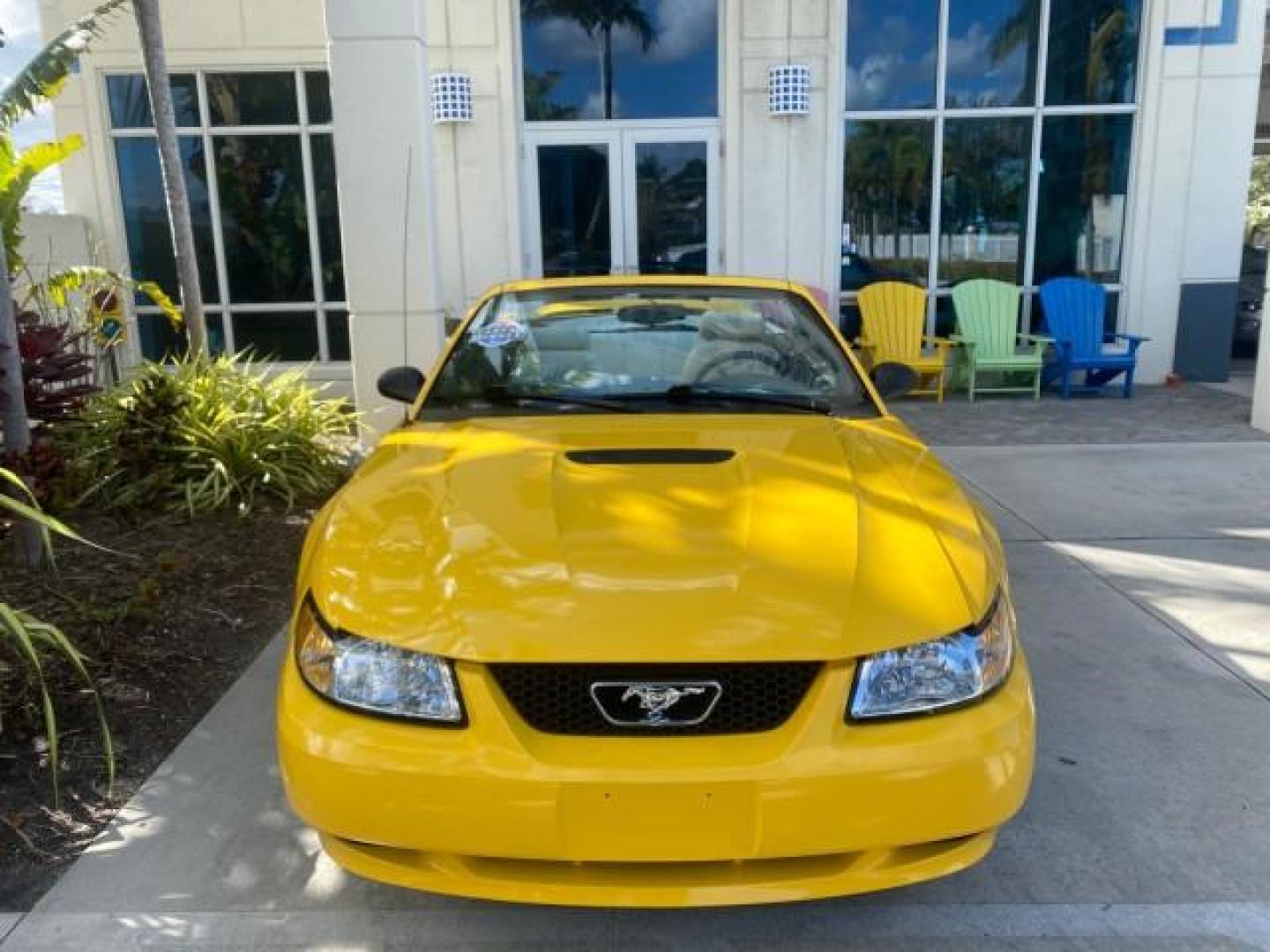 1999 Chrome Yellow /Oxford White Ford Mustang GT LOW MILES 8,145 1 OWNER FL CONV (1FAFP45X3XF) with an 4.6L SOHC SMPI V8 Engine engine, Automatic transmission, located at 4701 North Dixie Hwy, Pompano Beach, FL, 33064, (954) 422-2889, 26.240938, -80.123474 - OUR WEBPAGE FLORIDACARS1.COM HAS OVER 100 PHOTOS AND FREE CARFAX LINK 1999 FORD MUSTANG GT 1 OWNER VIN: 1FAFP45X3XF127745 1 F A F P 4 5 X 3 X F 1 2 7 7 4 5 CONVERTIBLE 4.6L V8 F SOHC 16V GASOLINE 24 MPG REAR WHEEL DRIVE Features ABS Brakes Air Conditioning Alloy Wheels AM/FM Stereo Automatic Transmi - Photo#29