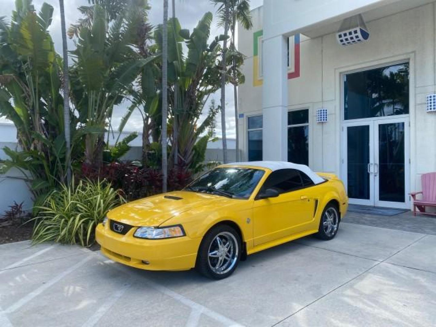 1999 Chrome Yellow /Oxford White Ford Mustang GT LOW MILES 8,145 1 OWNER FL CONV (1FAFP45X3XF) with an 4.6L SOHC SMPI V8 Engine engine, Automatic transmission, located at 4701 North Dixie Hwy, Pompano Beach, FL, 33064, (954) 422-2889, 26.240938, -80.123474 - OUR WEBPAGE FLORIDACARS1.COM HAS OVER 100 PHOTOS AND FREE CARFAX LINK 1999 FORD MUSTANG GT 1 OWNER VIN: 1FAFP45X3XF127745 1 F A F P 4 5 X 3 X F 1 2 7 7 4 5 CONVERTIBLE 4.6L V8 F SOHC 16V GASOLINE 24 MPG REAR WHEEL DRIVE Features ABS Brakes Air Conditioning Alloy Wheels AM/FM Stereo Automatic Transmi - Photo#30